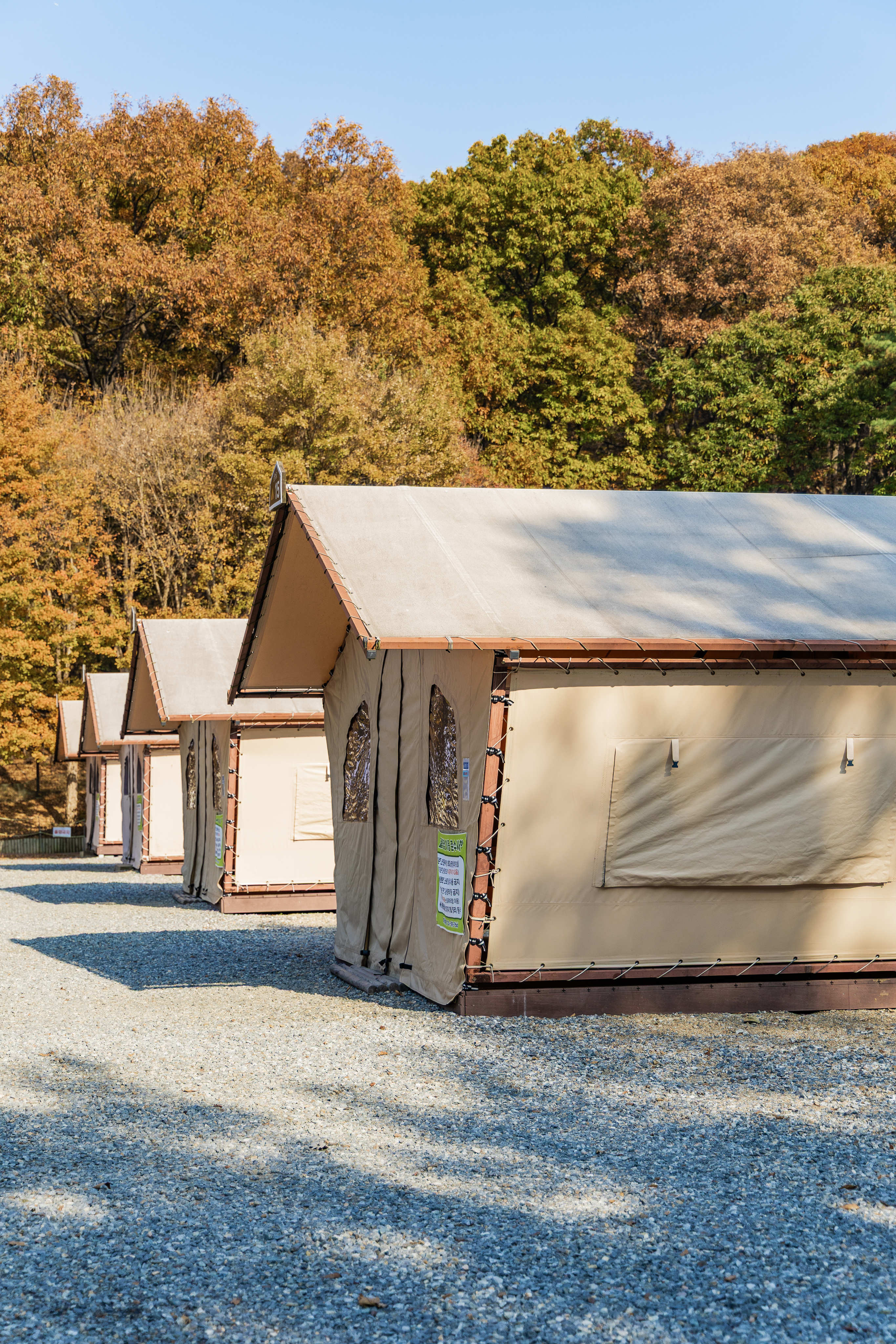 초막골생태공원 느티나무야영장 46번째 이미지