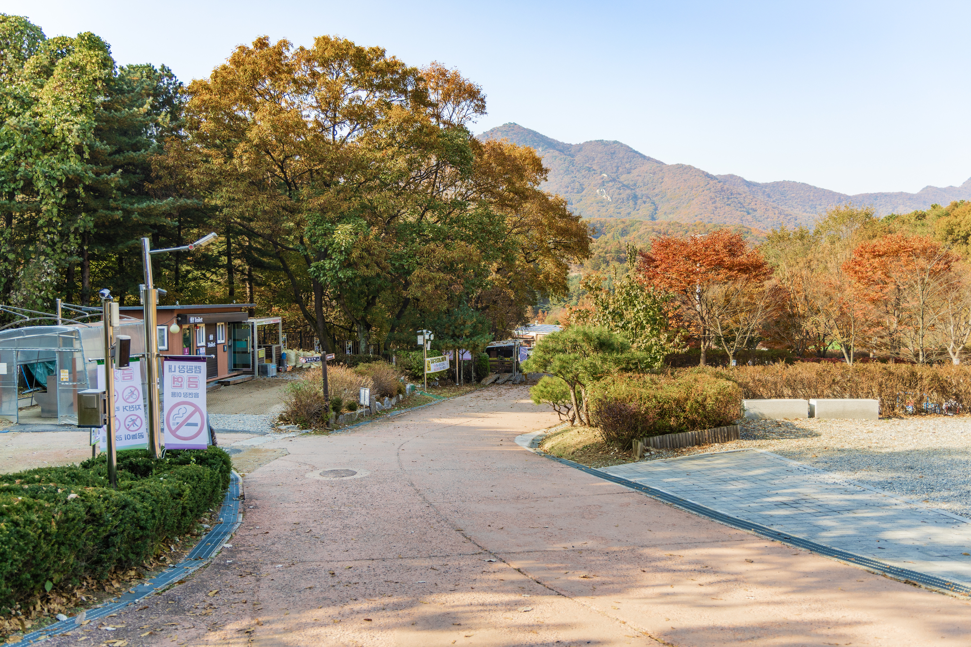 초막골생태공원 느티나무야영장 37번째 이미지