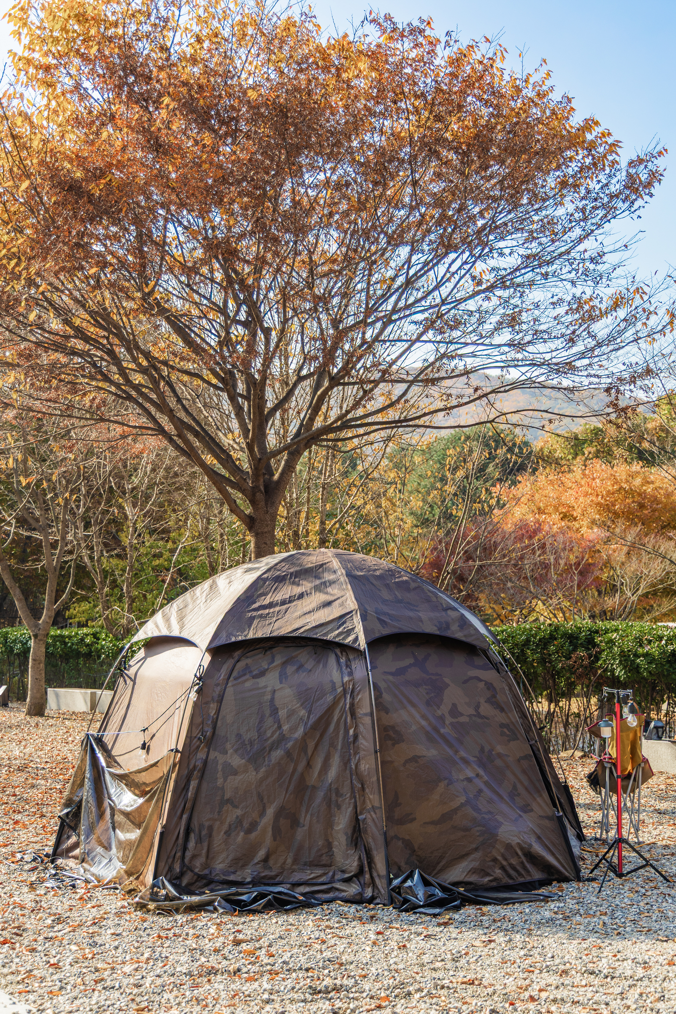 초막골생태공원 느티나무야영장 56번째 이미지