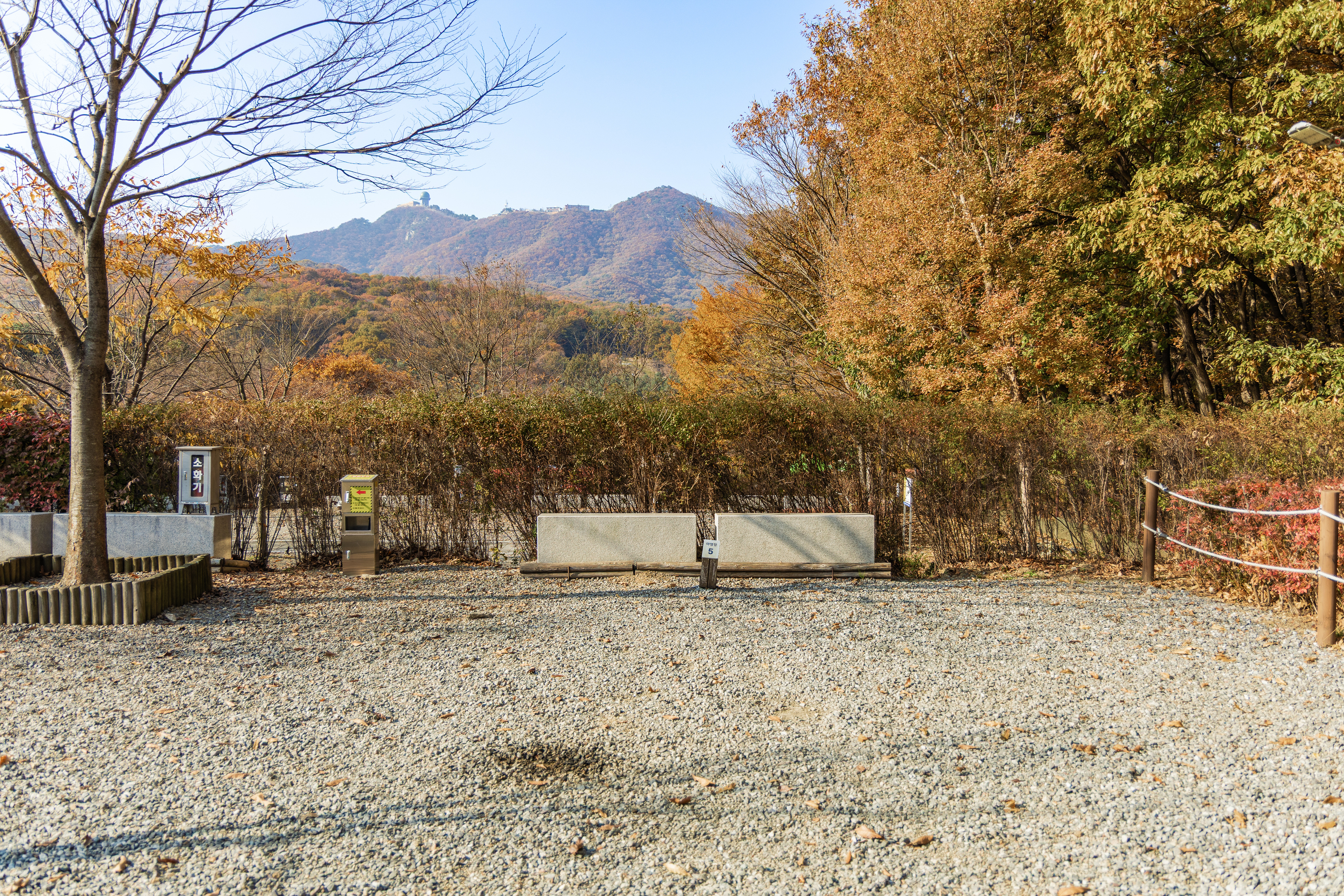 초막골생태공원 느티나무야영장 59번째 이미지