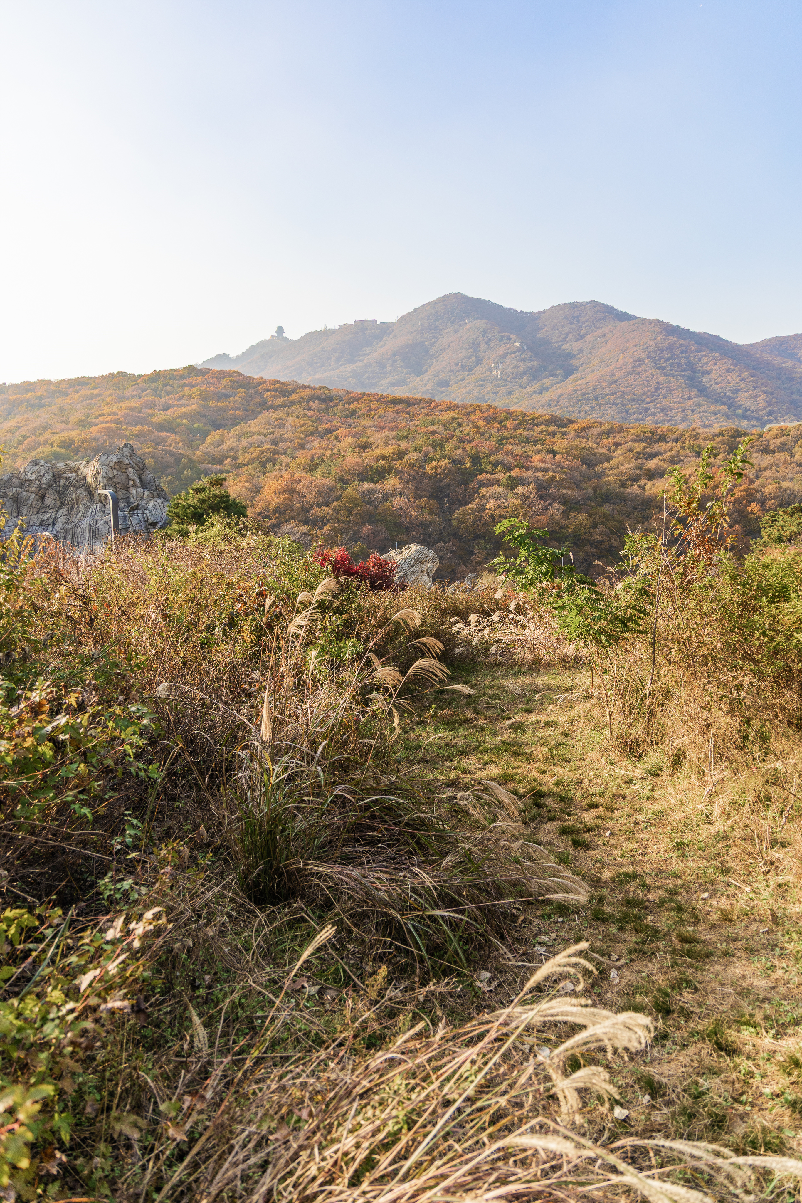 초막골생태공원 느티나무야영장 83번째 이미지