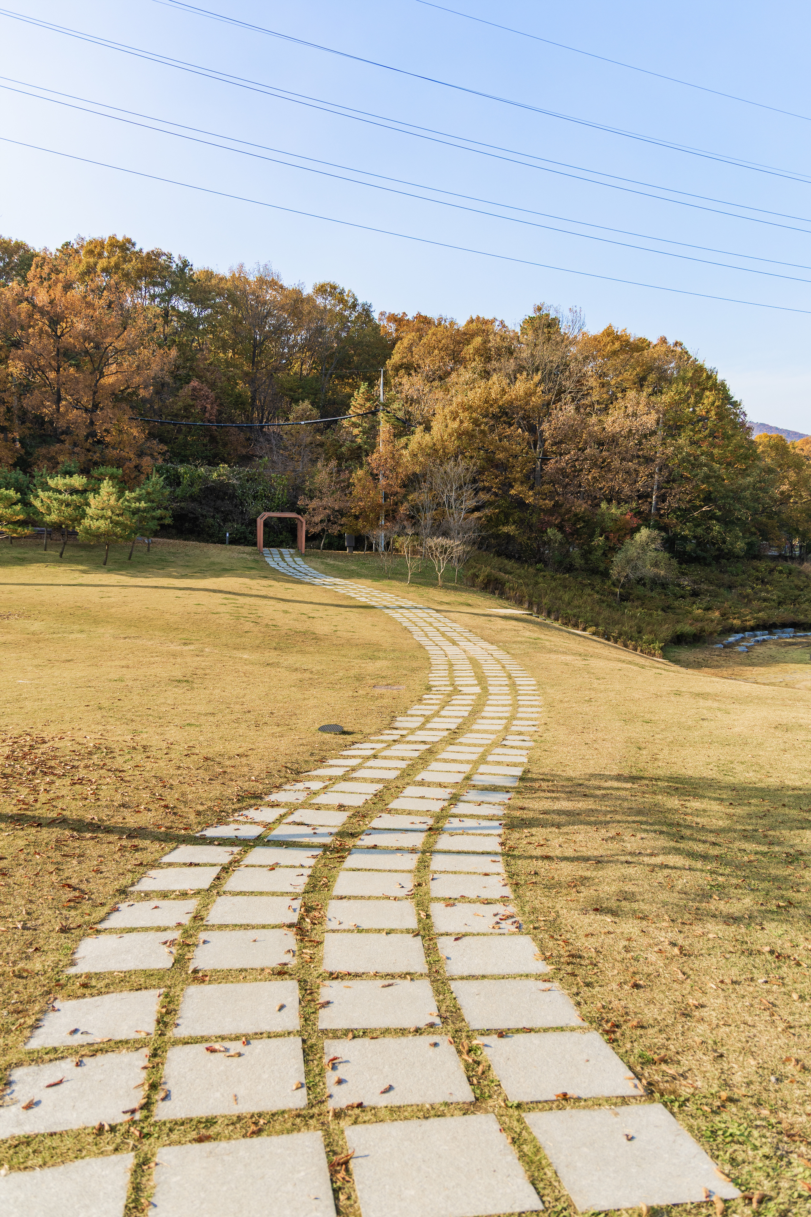 초막골생태공원 느티나무야영장 75번째 이미지