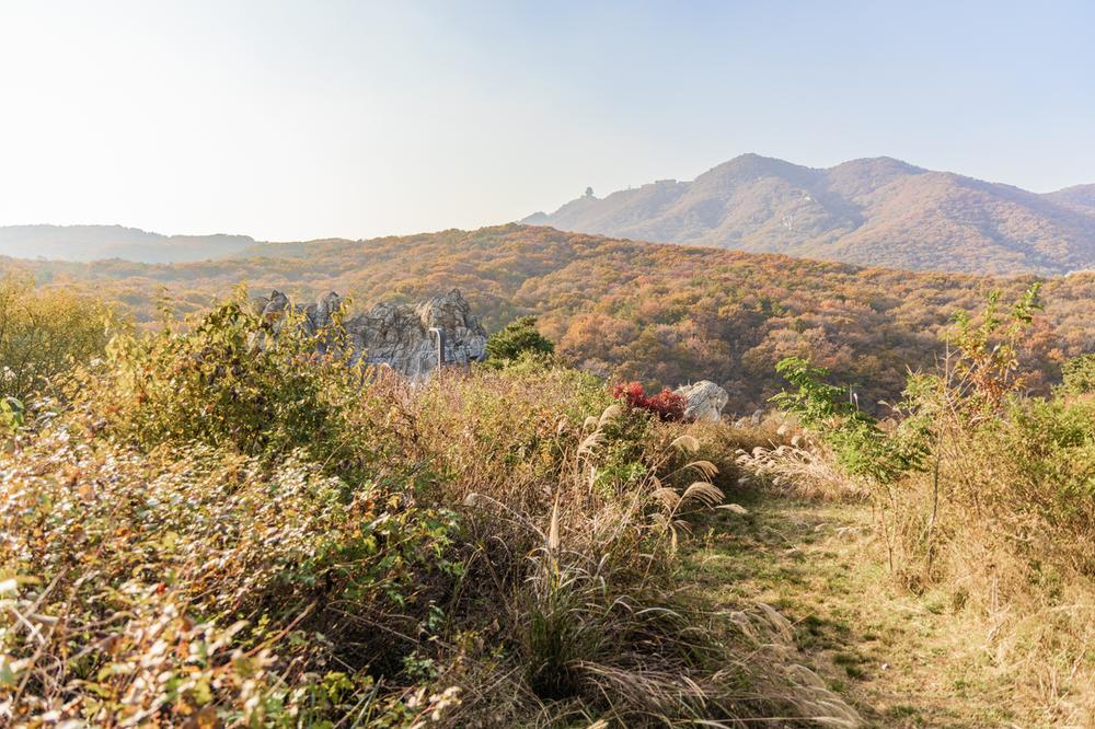 초막골생태공원 느티나무야영장