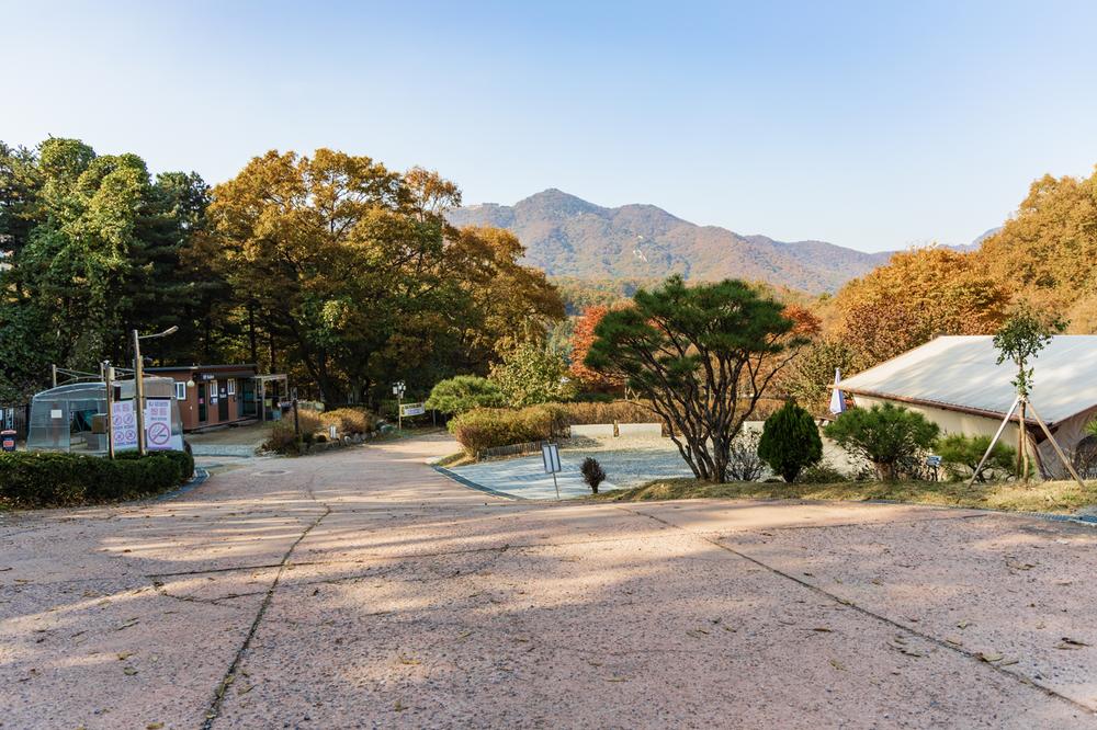 초막골생태공원 느티나무야영장