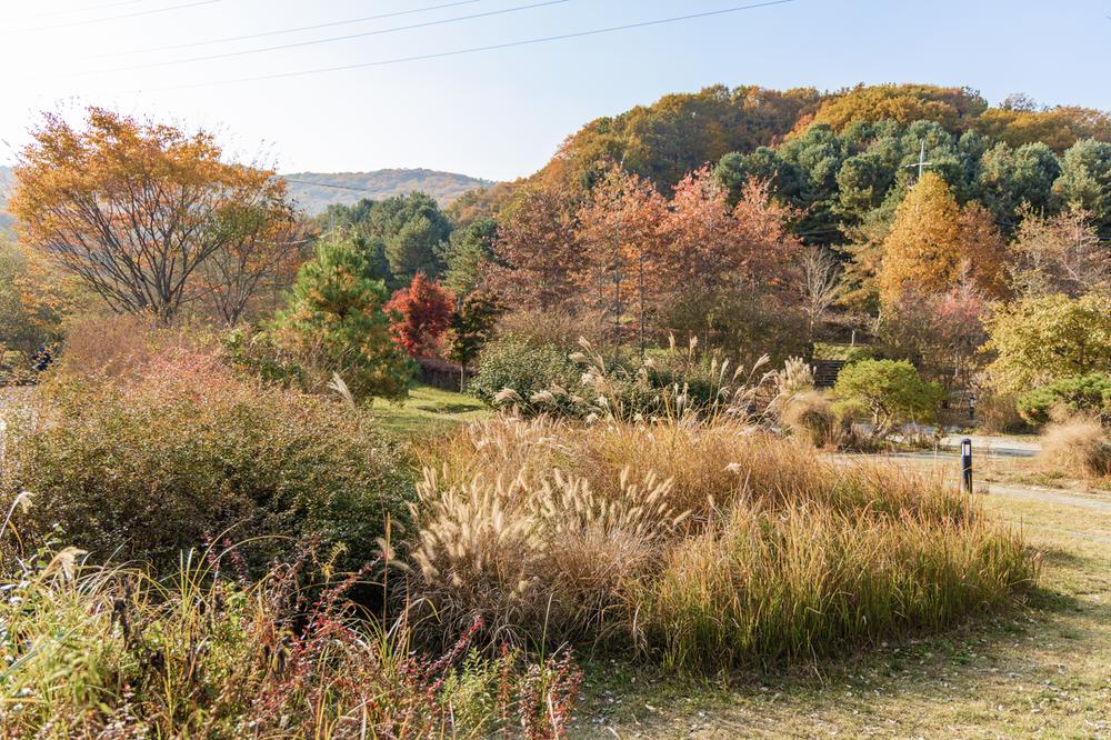 초막골생태공원 느티나무야영장