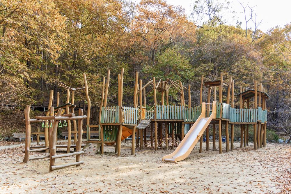 초막골생태공원 느티나무야영장