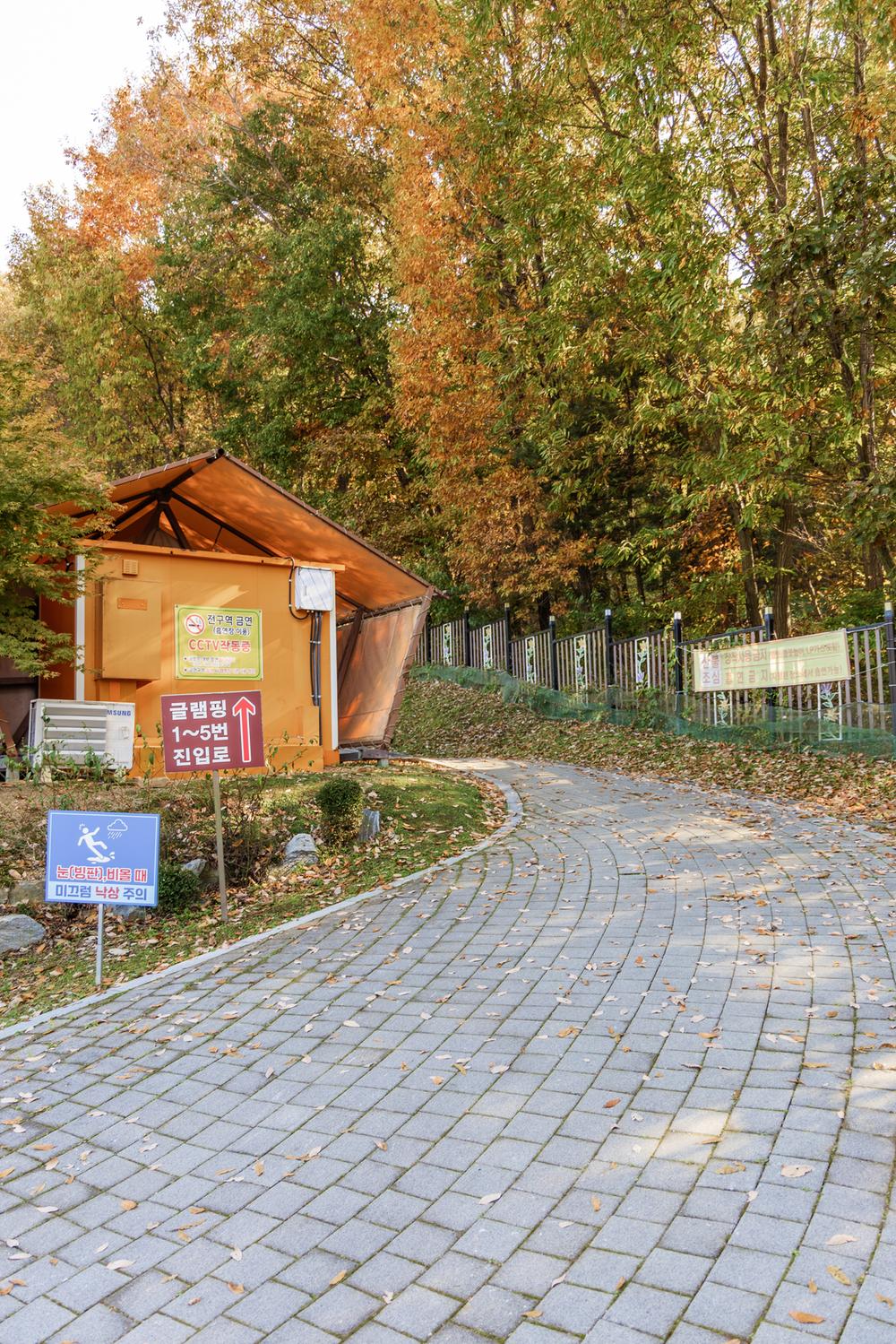 초막골생태공원 느티나무야영장