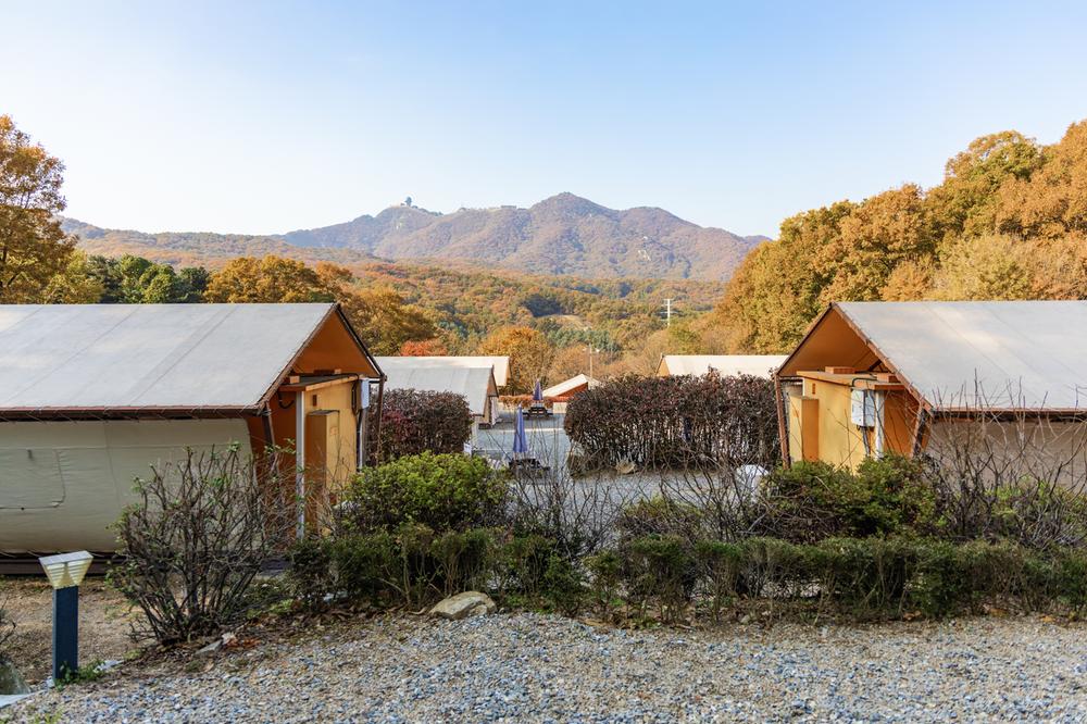 초막골생태공원 느티나무야영장