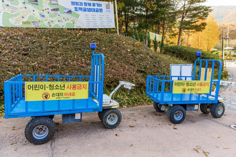 초막골생태공원 느티나무야영장