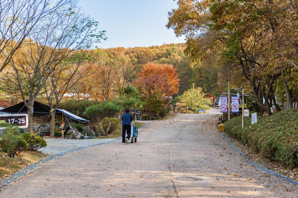 초막골생태공원 느티나무야영장