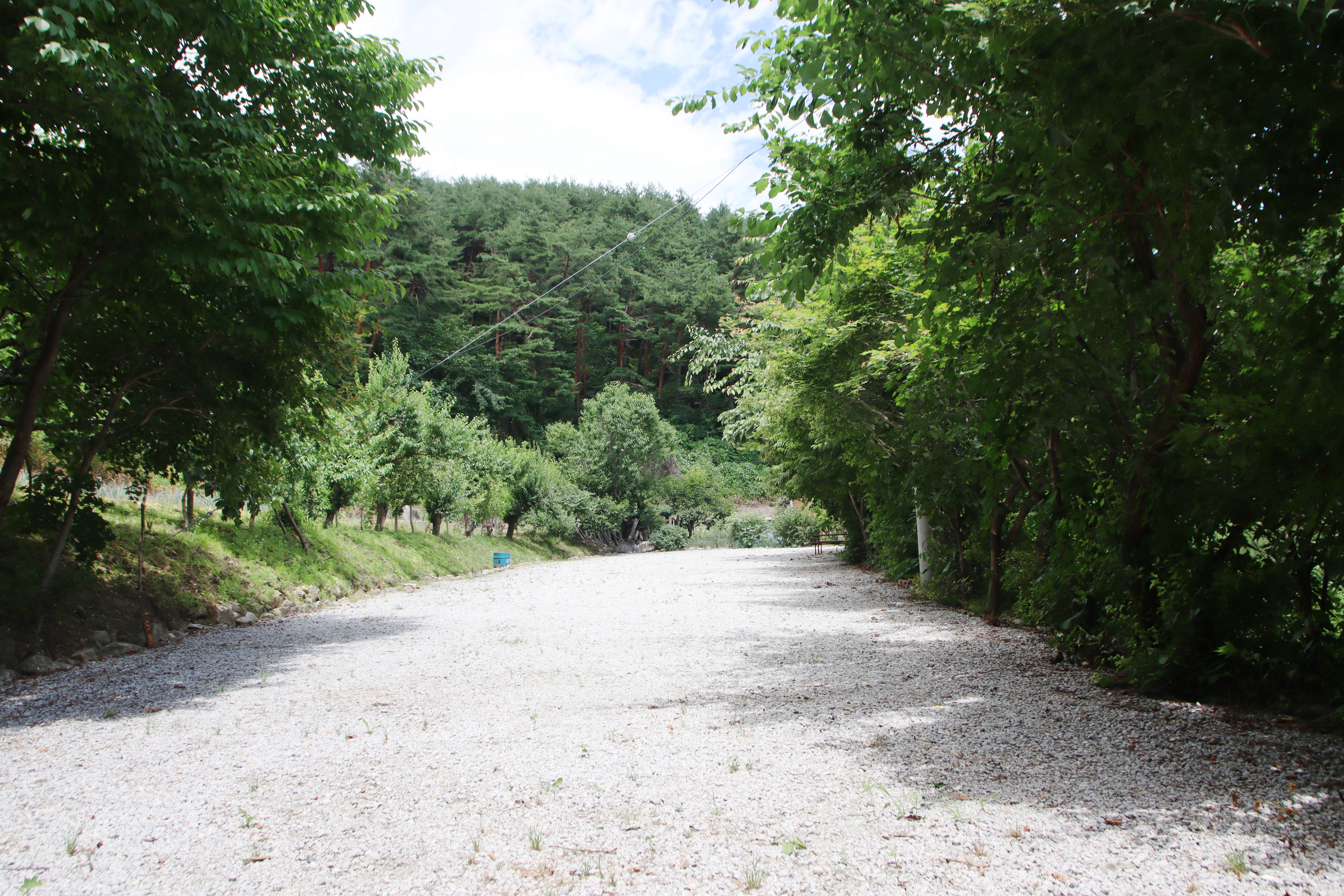 추억촌 12번째 이미지