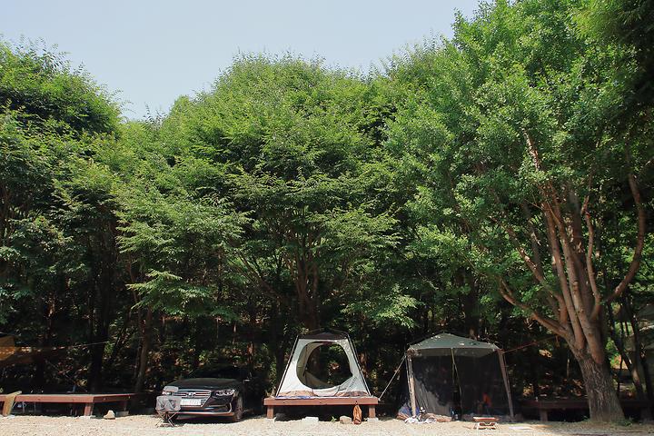 작산자연휴양림 야영장