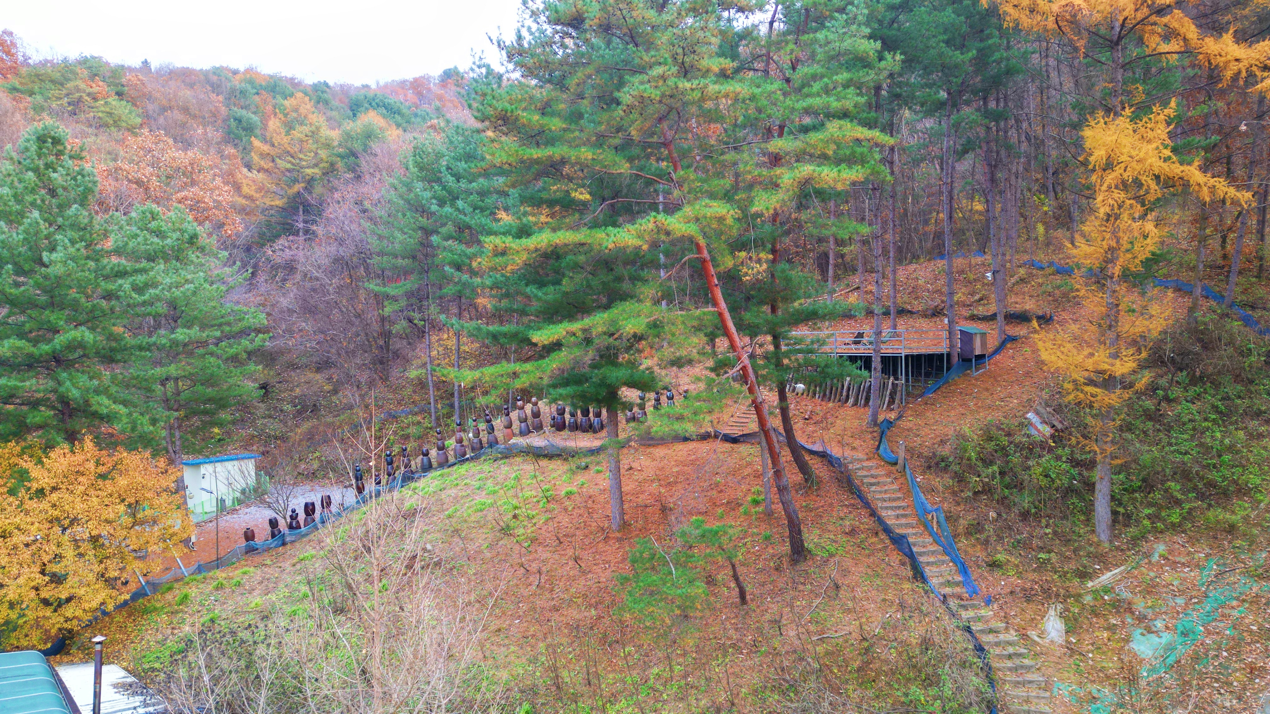 캠핑하는 집 21번째 이미지