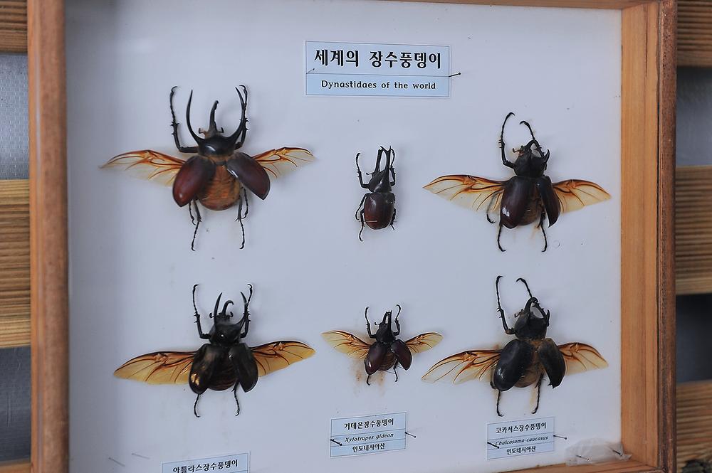 광릉솔개캠핑장