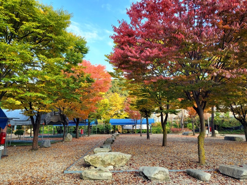 하오재캠핑장 이미지