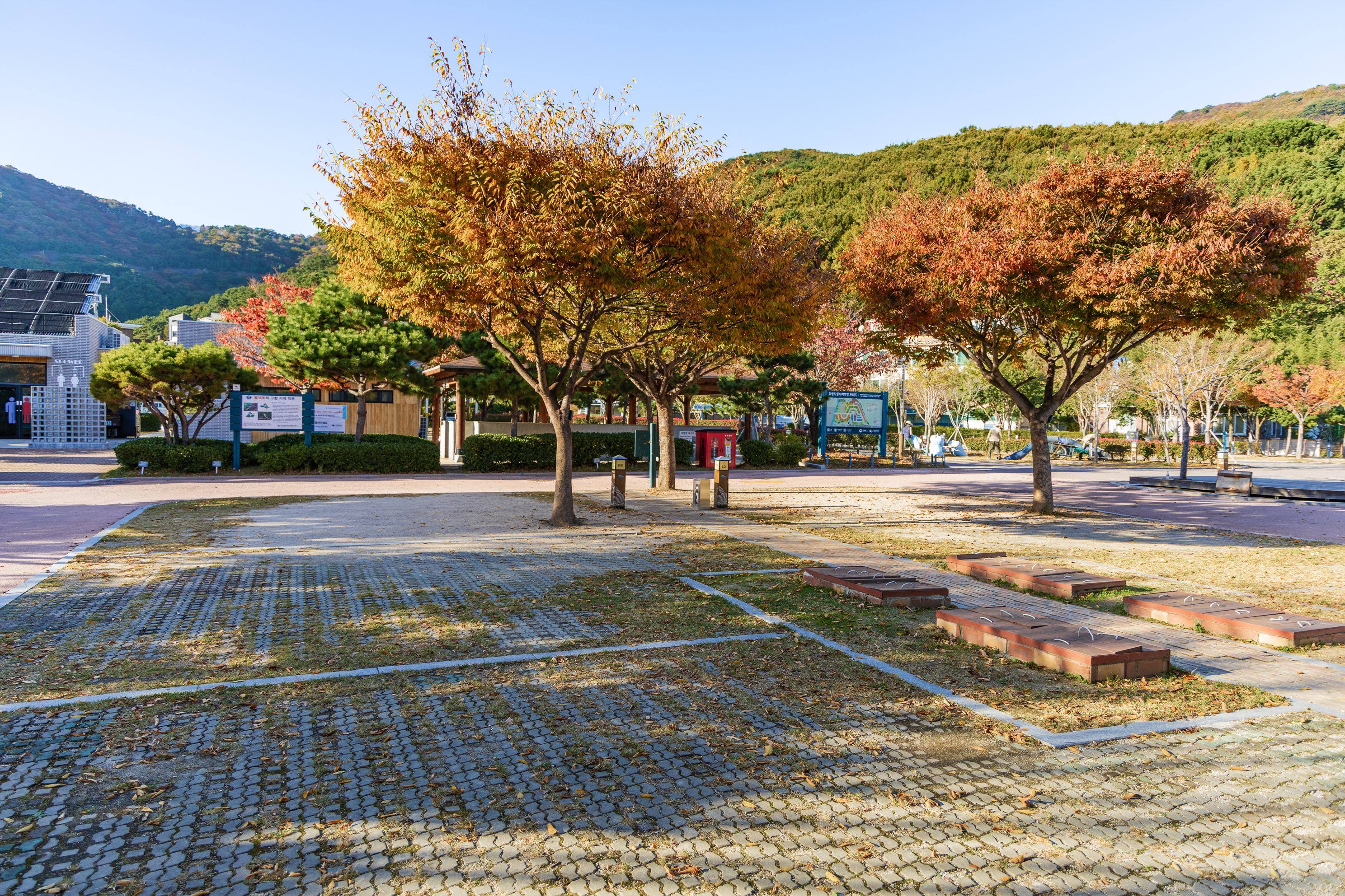 학동자동차 야영장 5번째 이미지