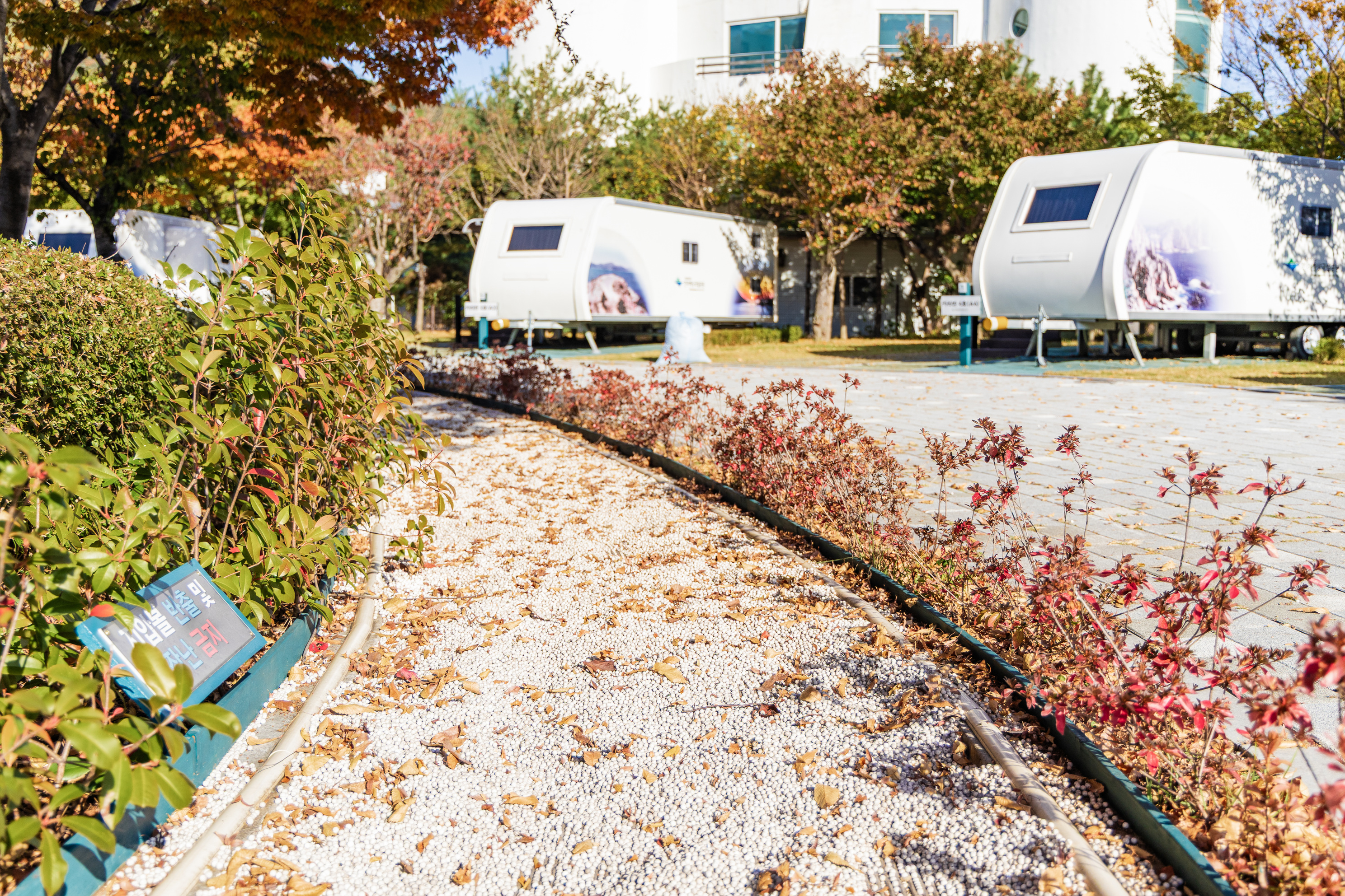 학동자동차 야영장 38번째 이미지