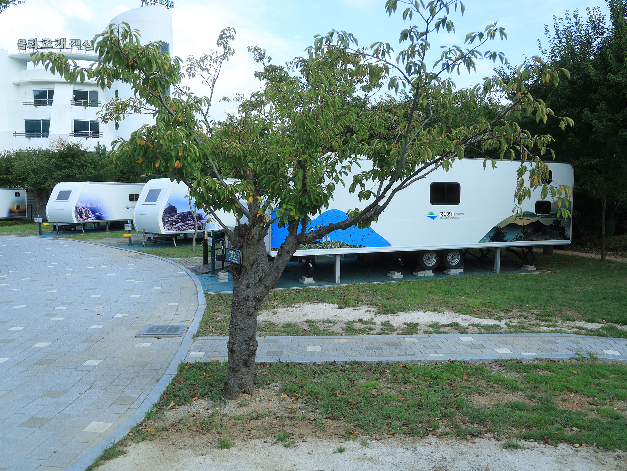 학동자동차 야영장 이미지