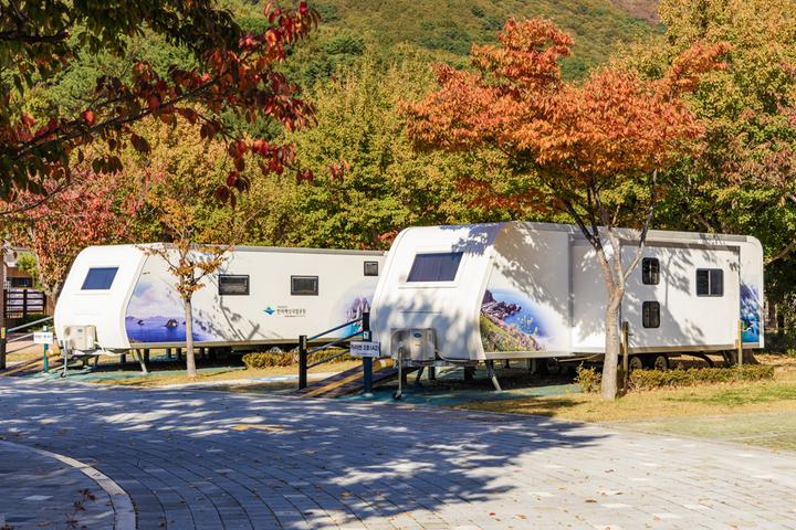 학동자동차 야영장 메인 이미지