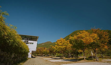 함양용추오토캠핑장 사진