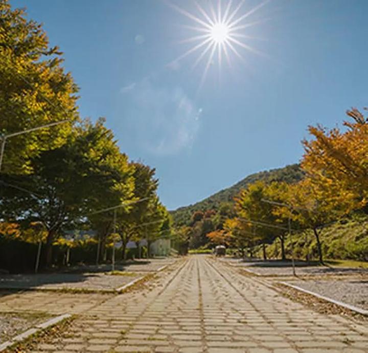 함양용추오토캠핑장 - 경남 함양군 안의면 용추계곡로 491-12 캠핑장 이미지