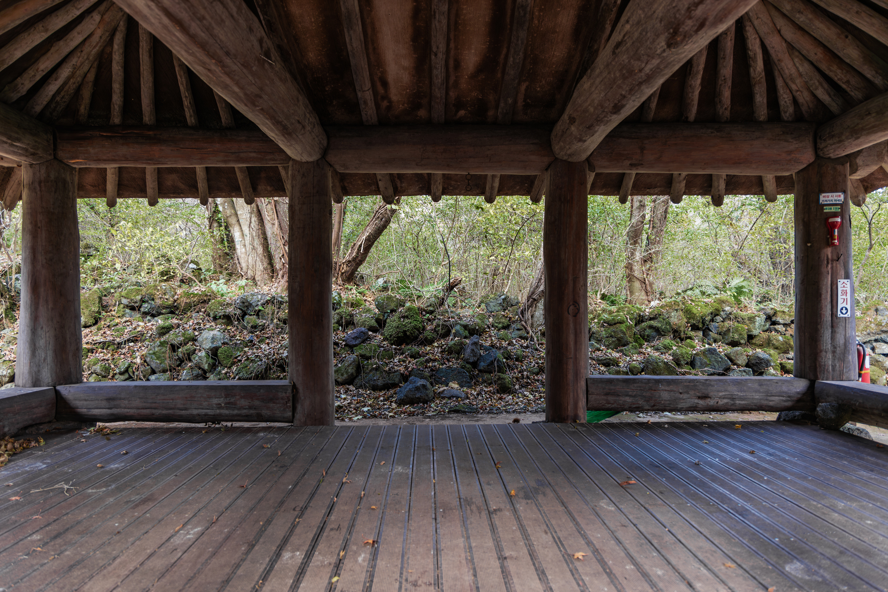 교래자연휴양림야영장 14번째 이미지