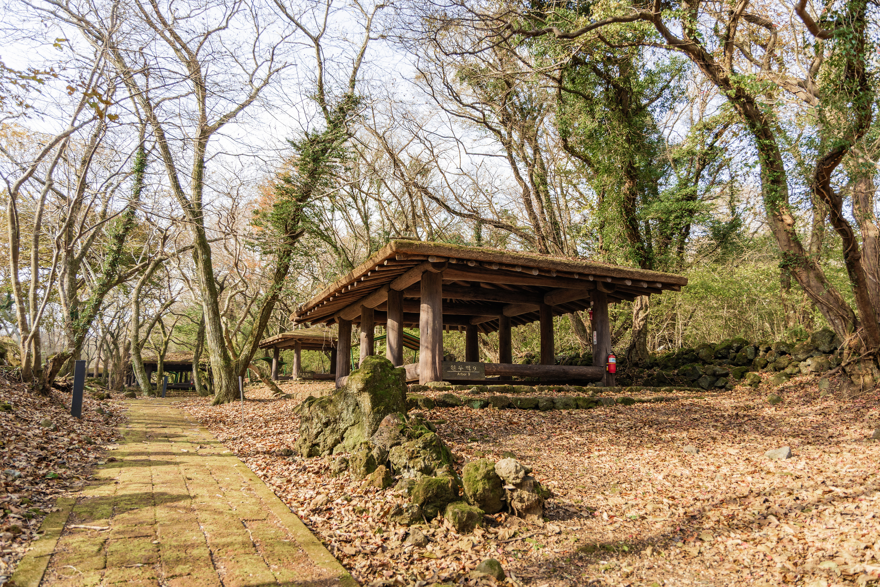 교래자연휴양림야영장 13번째 이미지