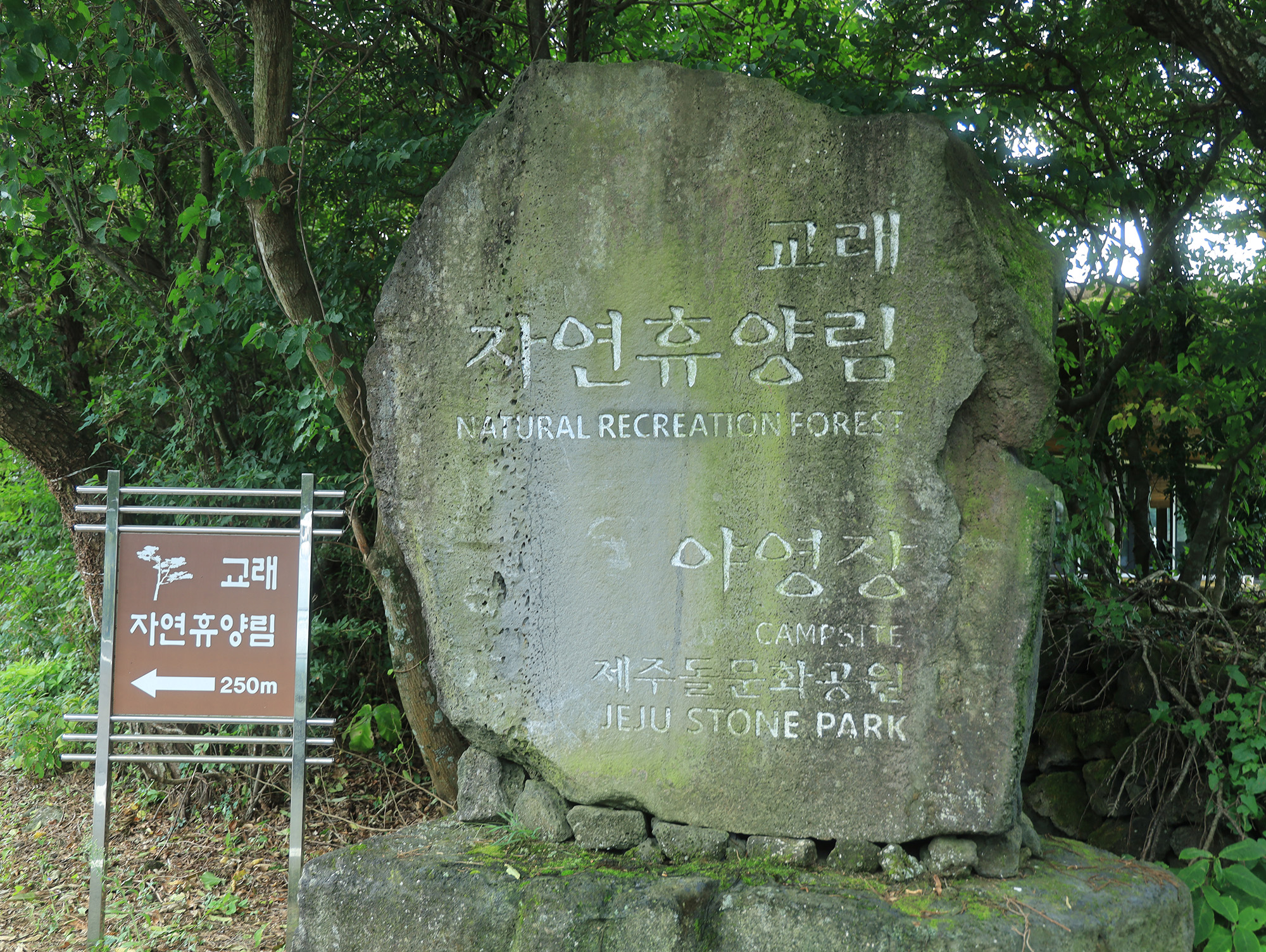교래자연휴양림 야영장 이미지