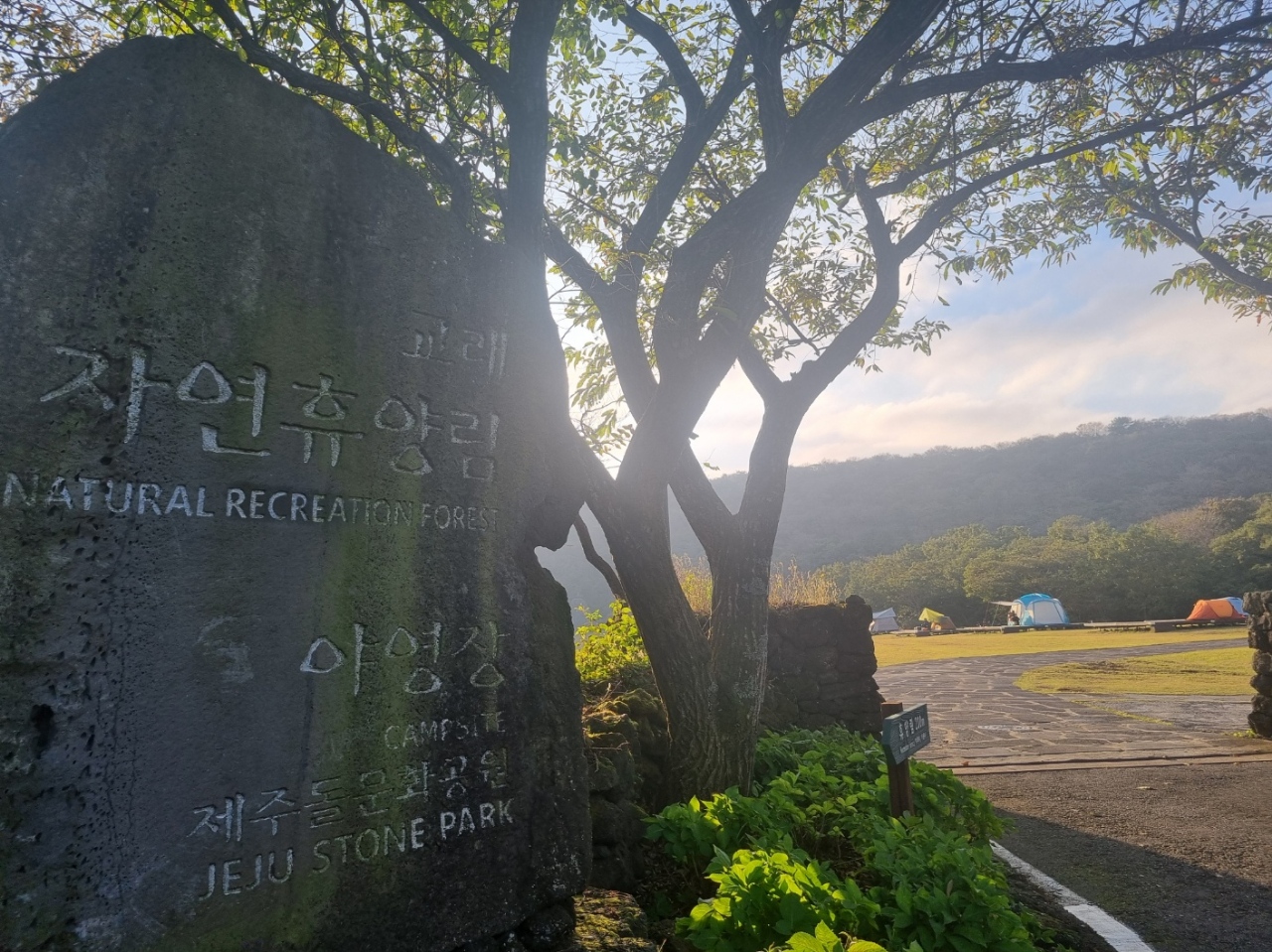 교래자연휴양림 야영장 이미지