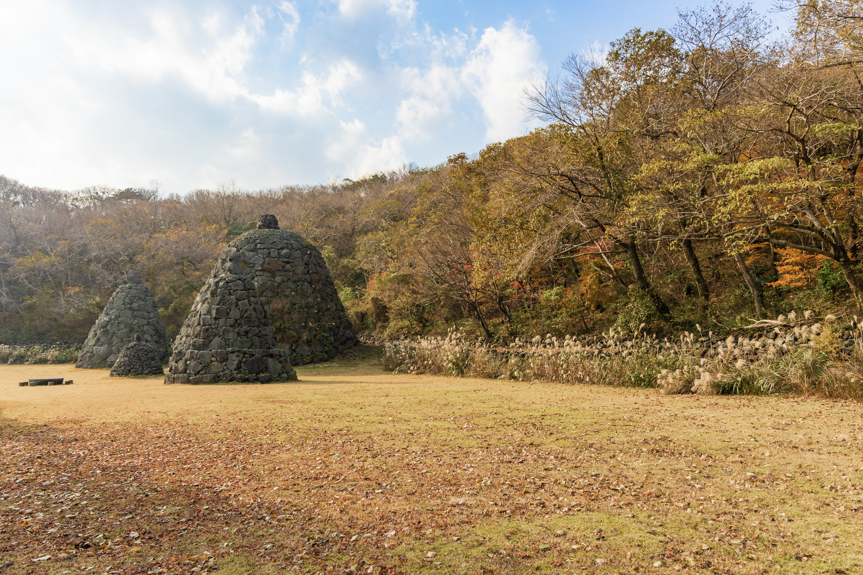 교래자연휴양림야영장 16번째 이미지