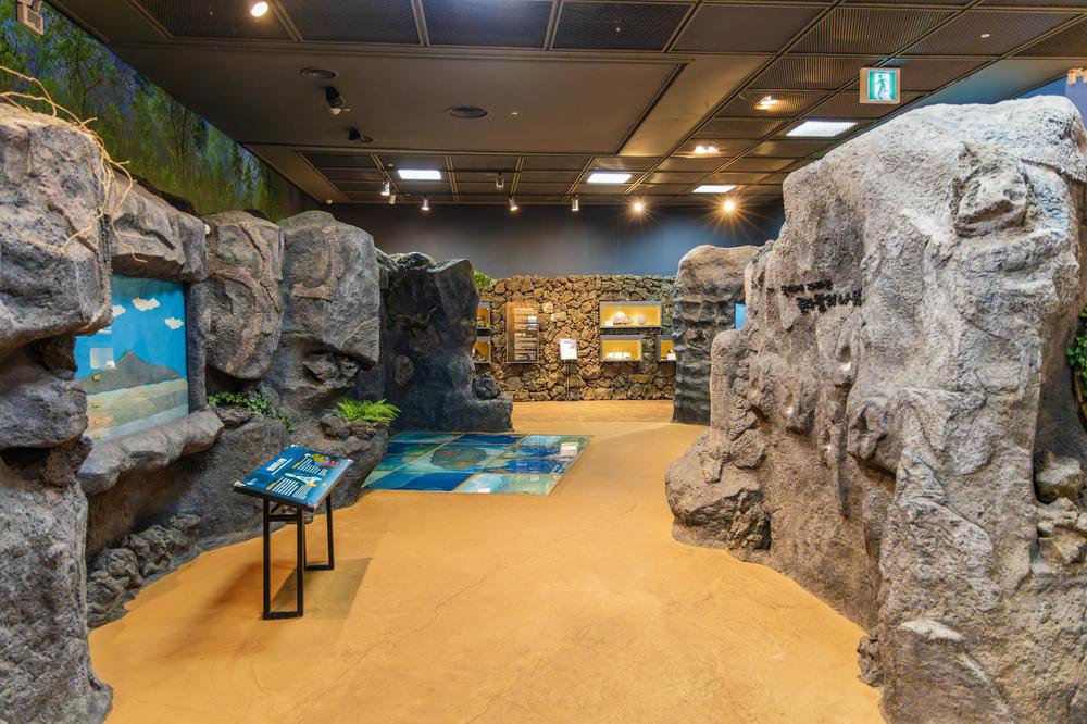 교래자연휴양림야영장