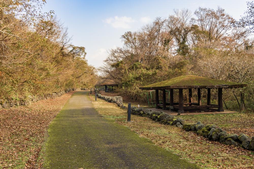 교래자연휴양림야영장