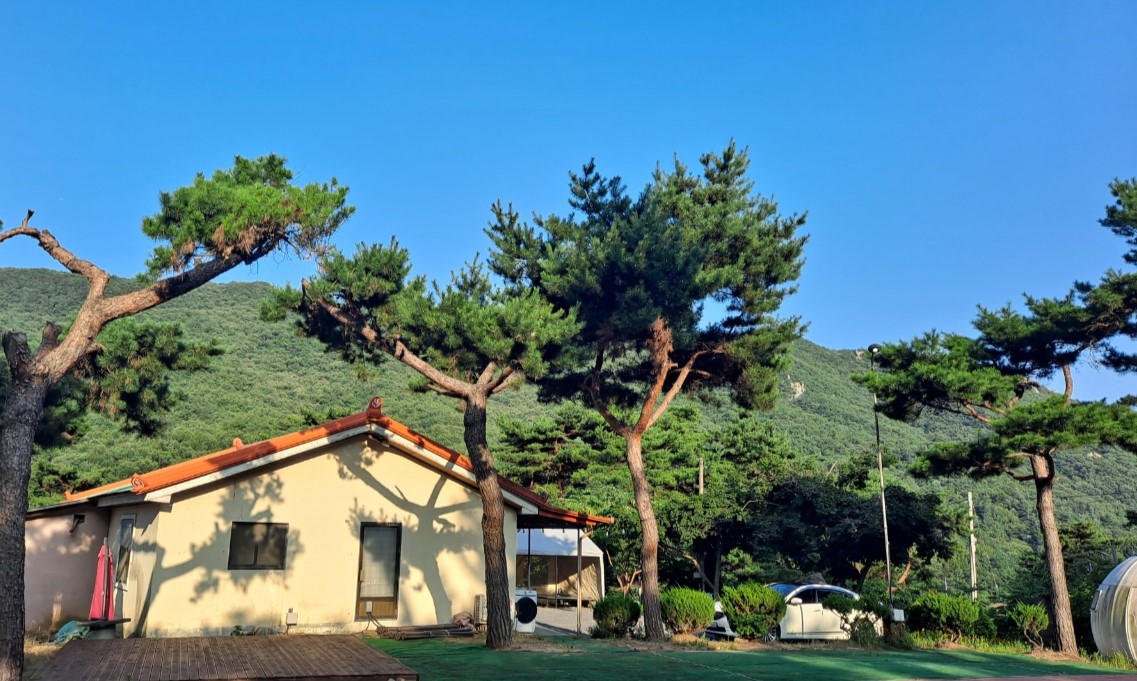 리틀빌리지 2번째 이미지