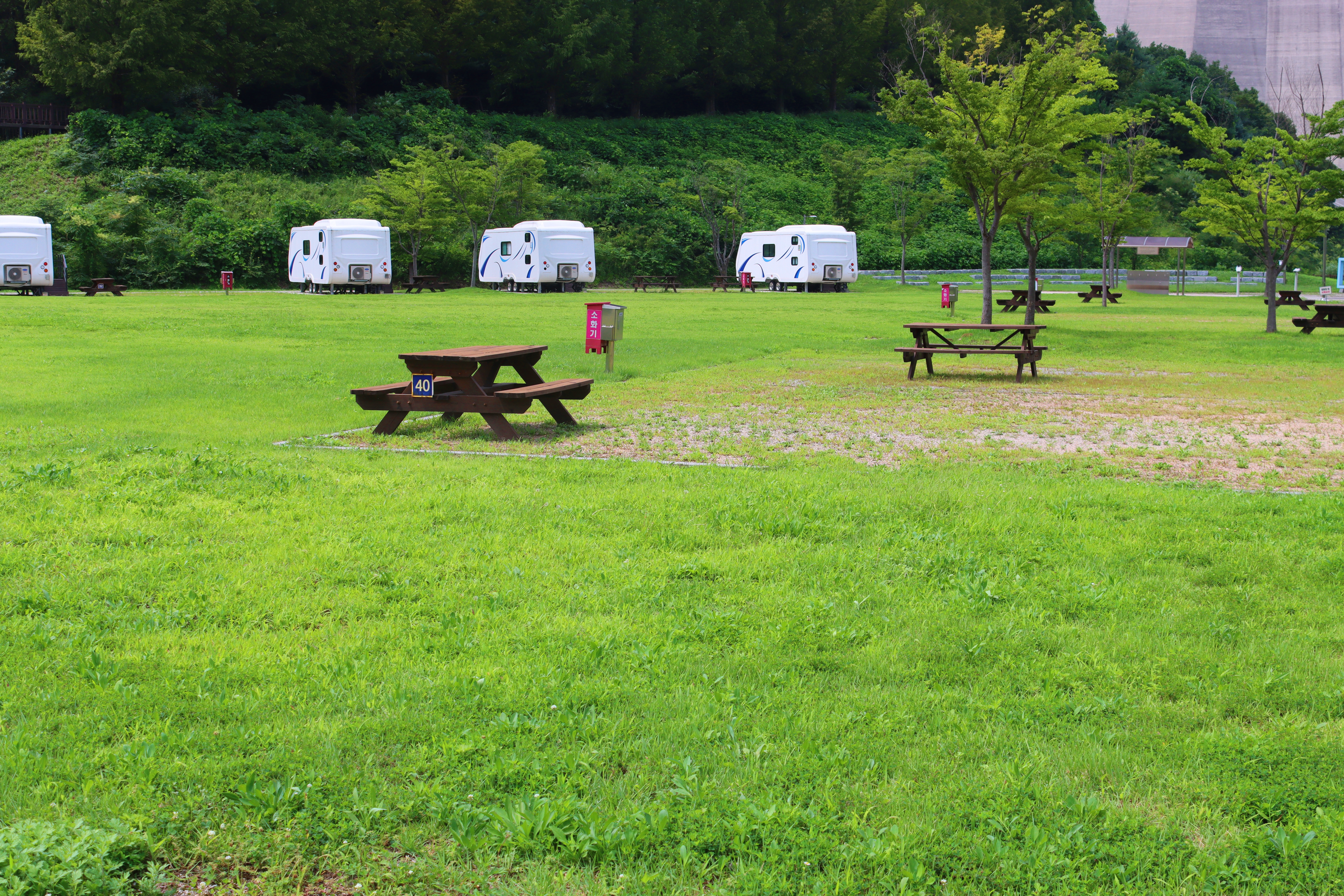 화천에코스쿨 생태체험장 19번째 이미지