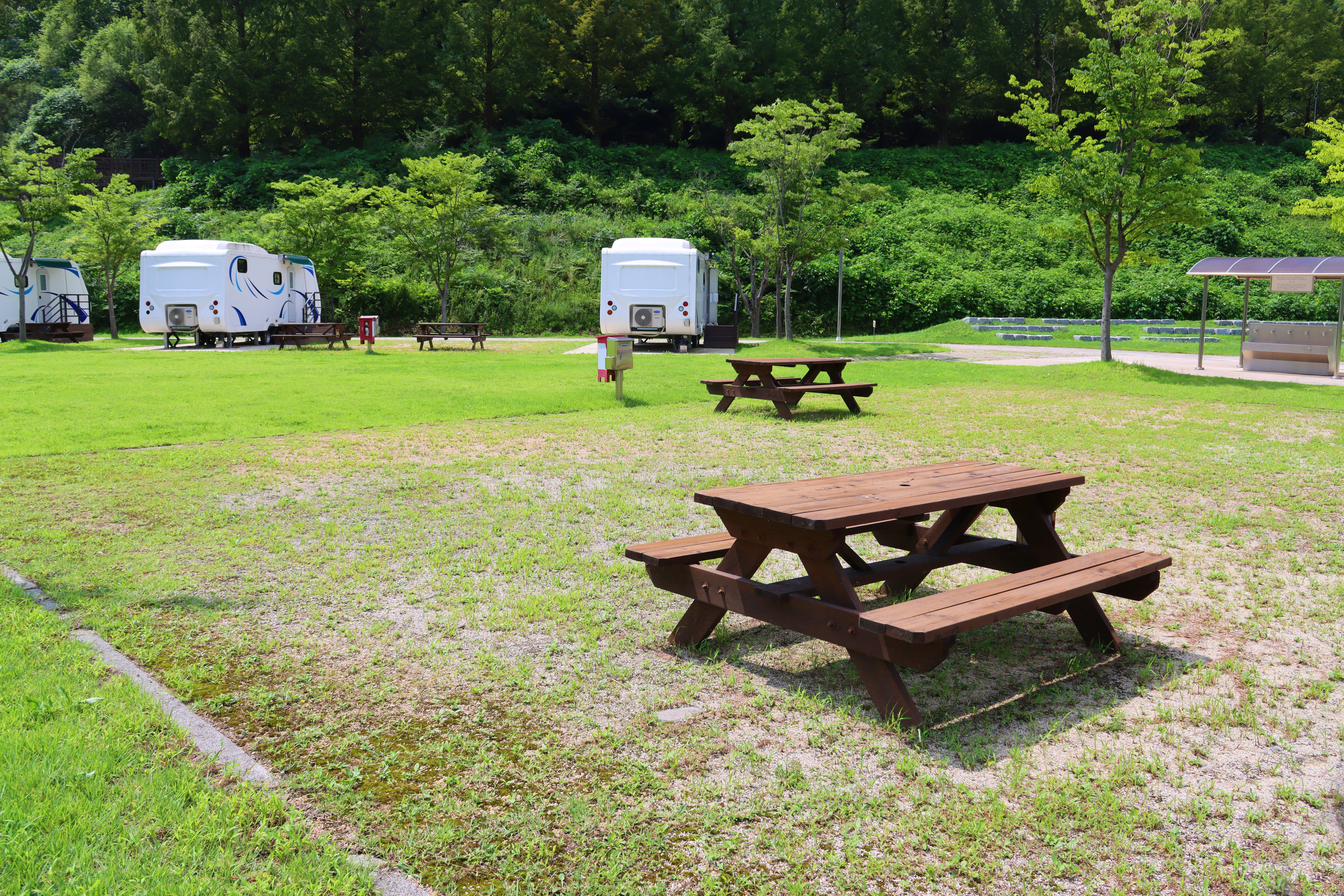 화천에코스쿨 생태체험장 13번째 이미지