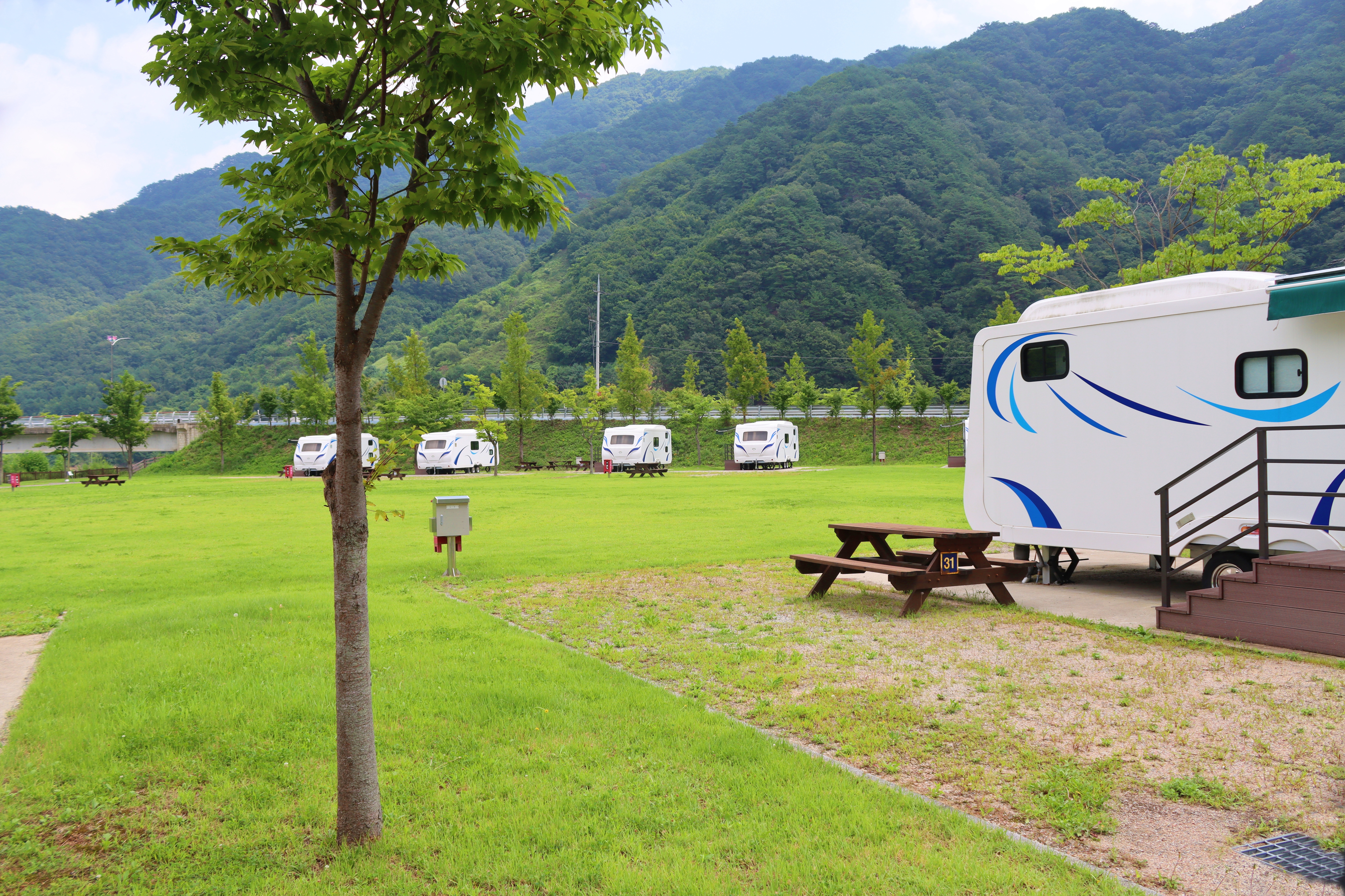 화천에코스쿨 생태체험장 28번째 이미지