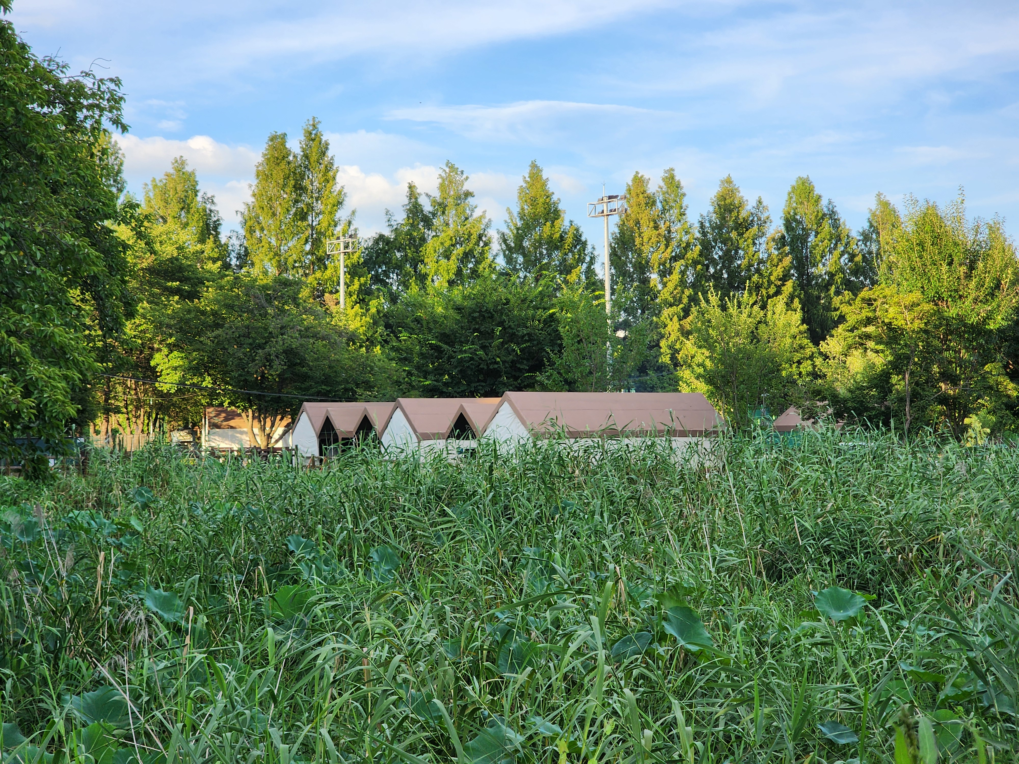 구리 토평 가족캠핑장 8번째 이미지