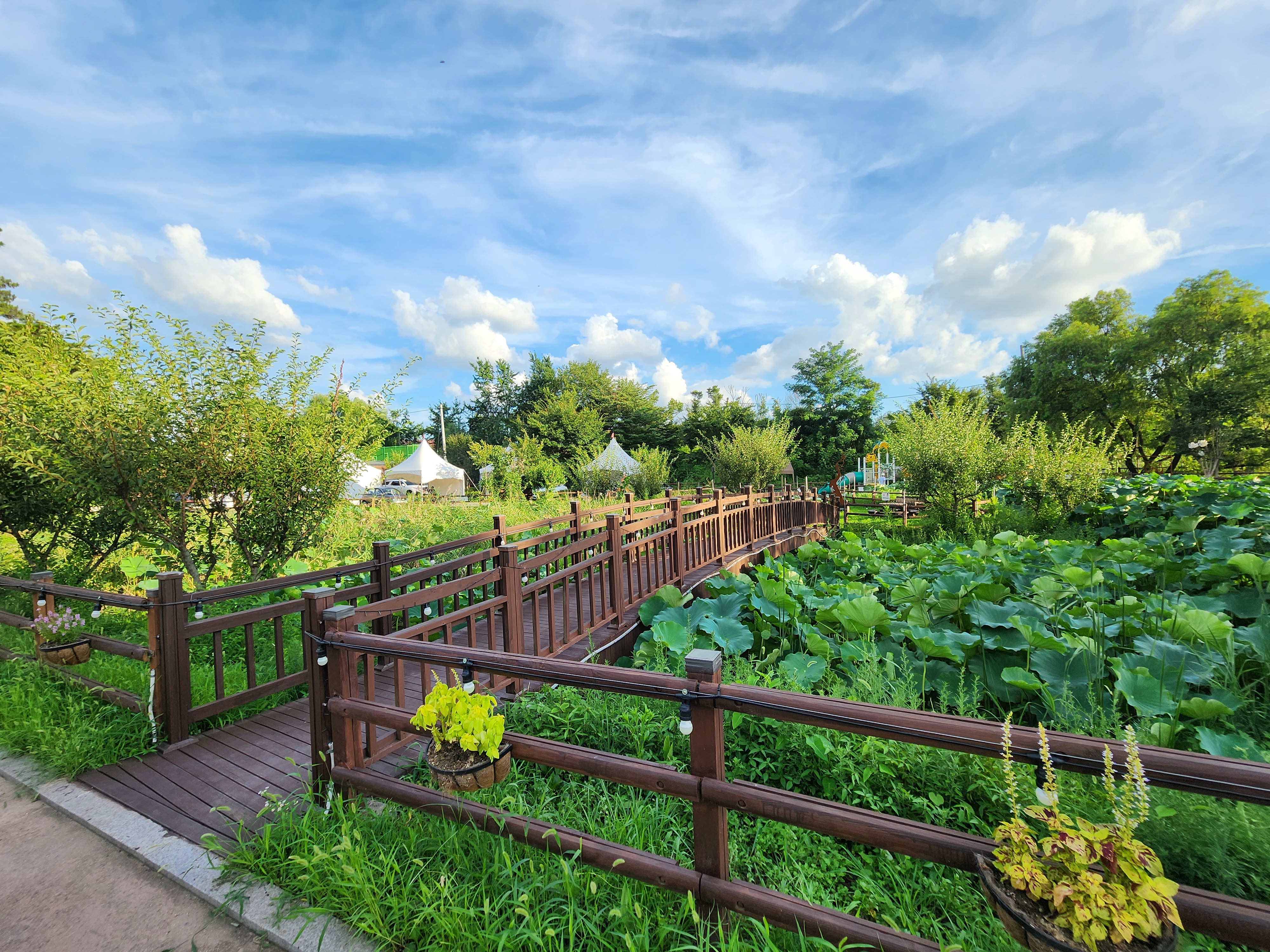 구리 토평 가족캠핑장 3번째 이미지