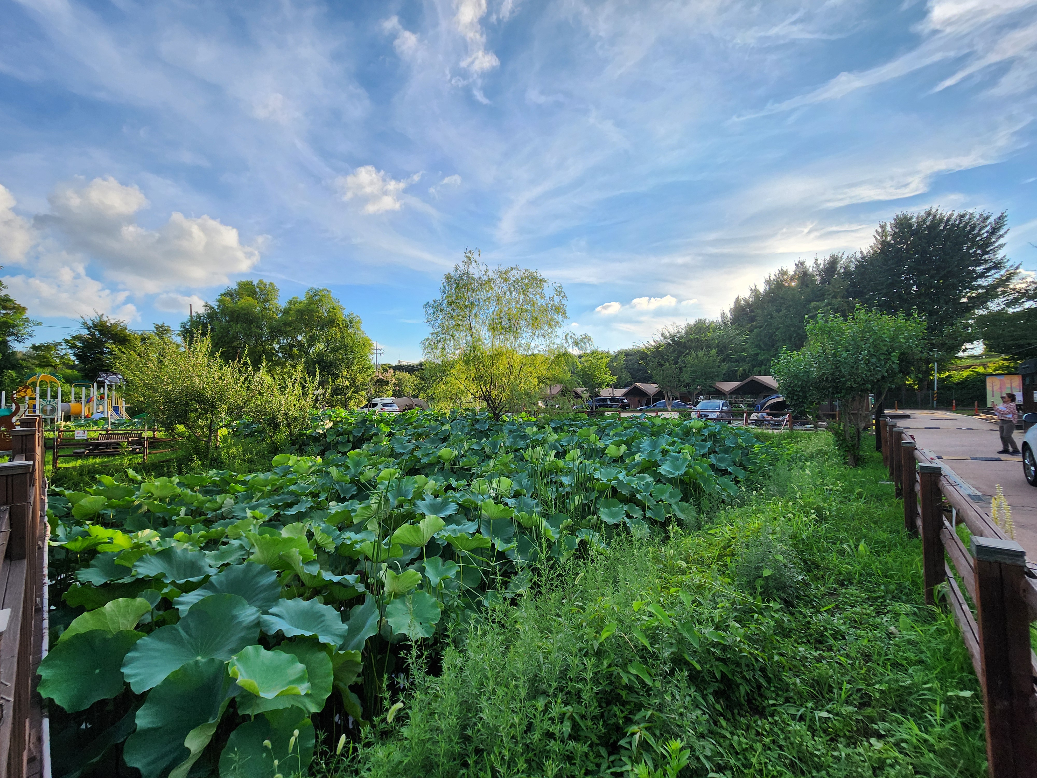 구리 토평 가족캠핑장 5번째 이미지