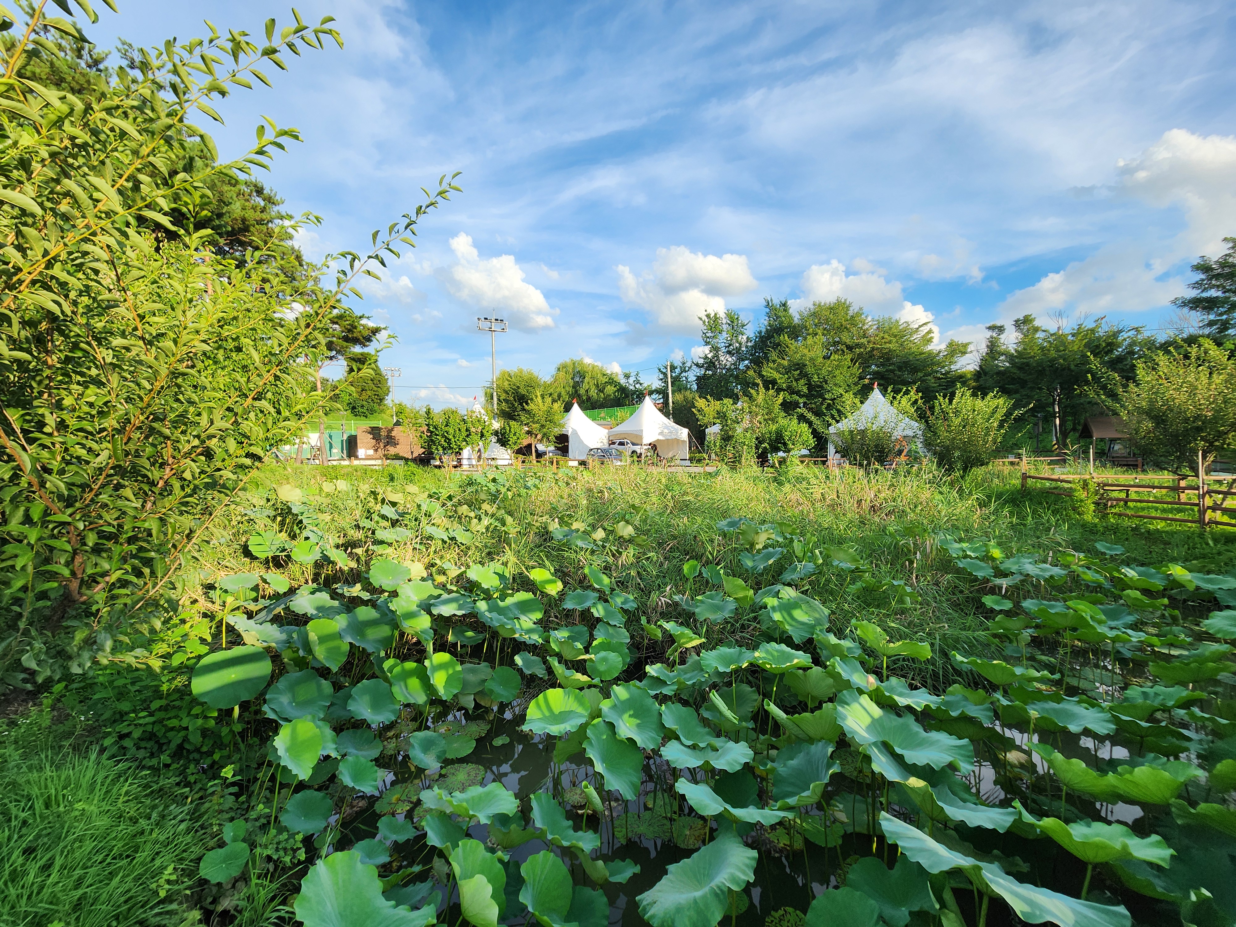 구리 토평 가족캠핑장 6번째 이미지