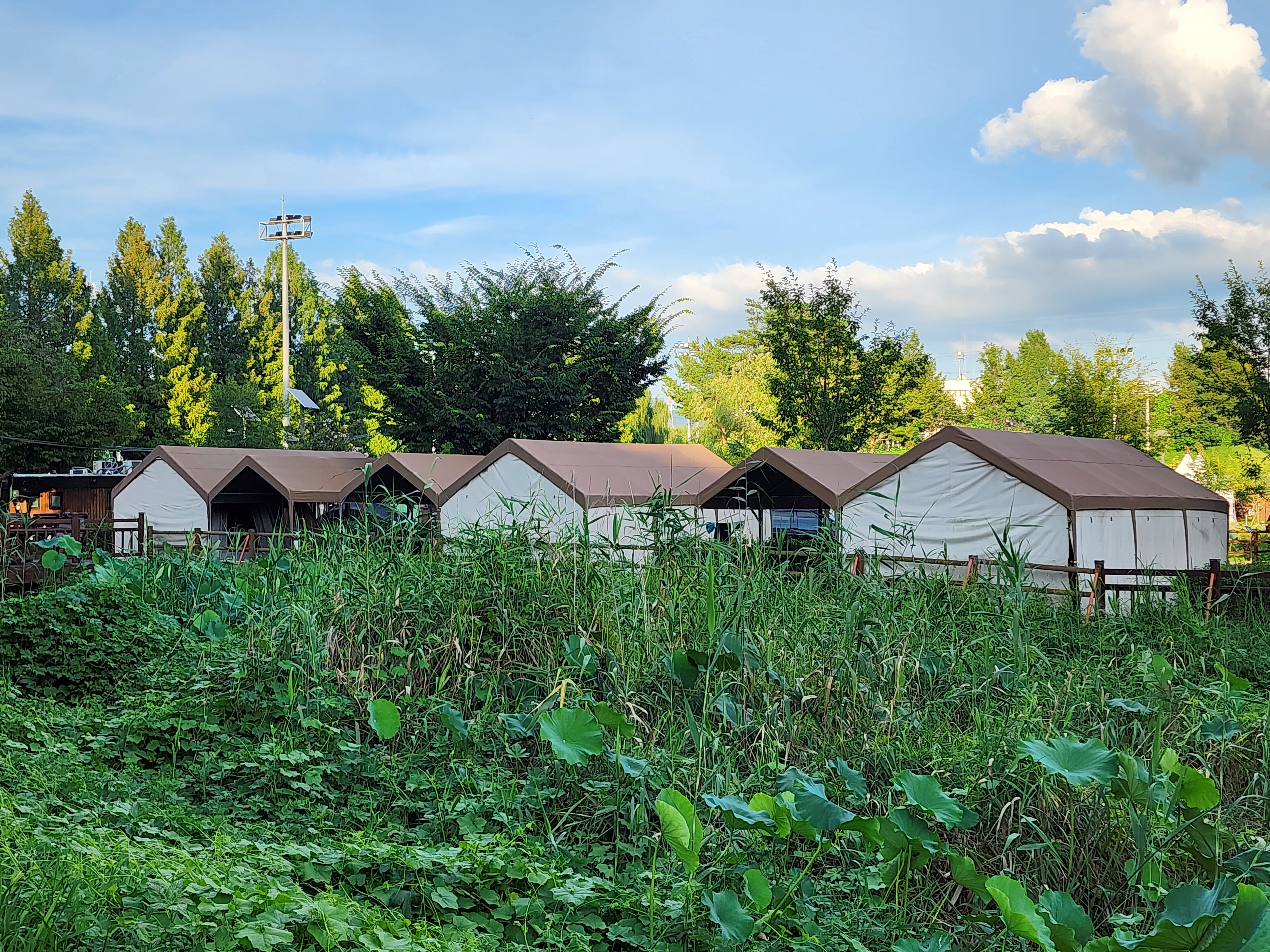 구리 토평 가족캠핑장 11번째 이미지