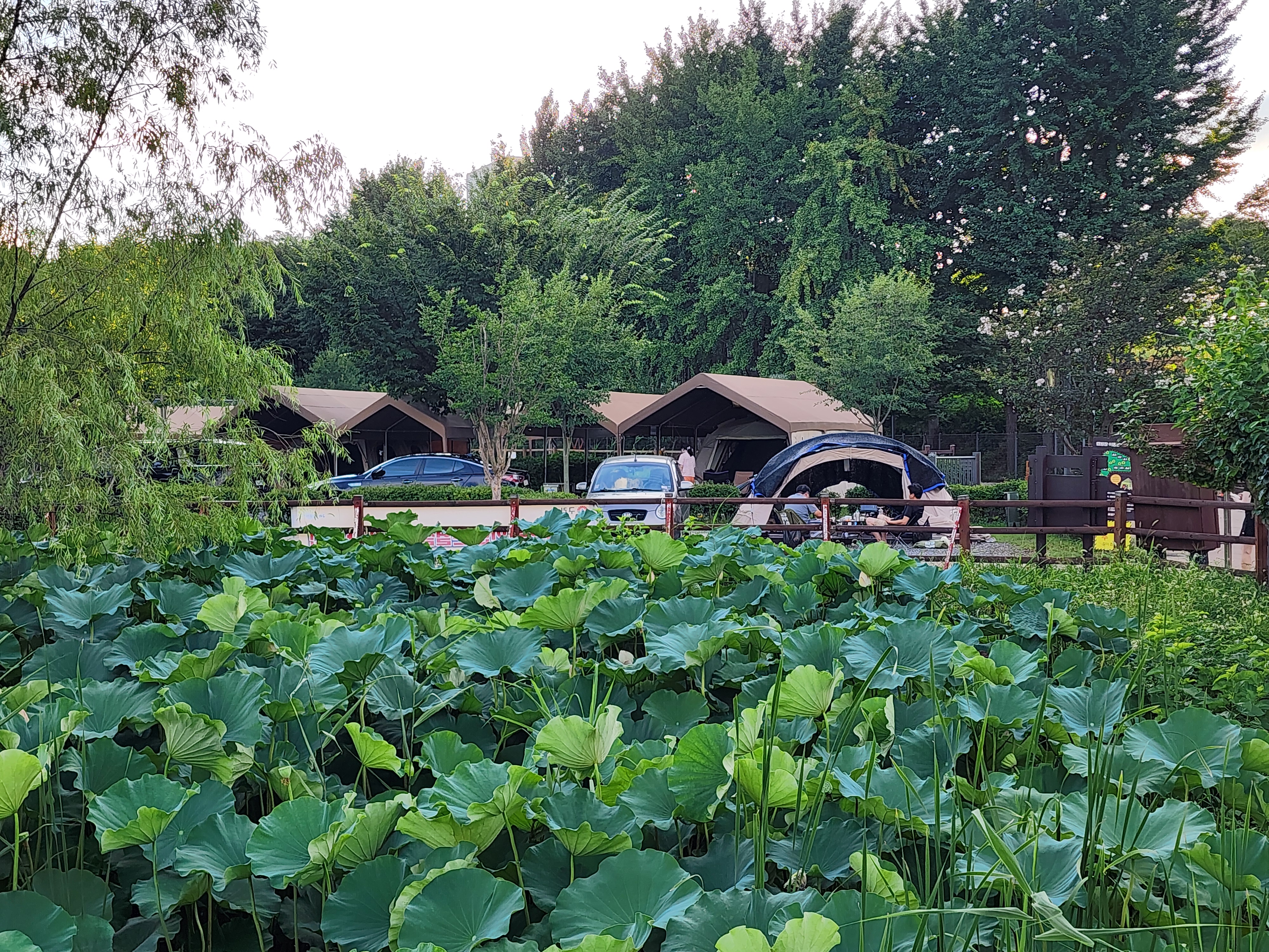 구리 토평 가족캠핑장 14번째 이미지