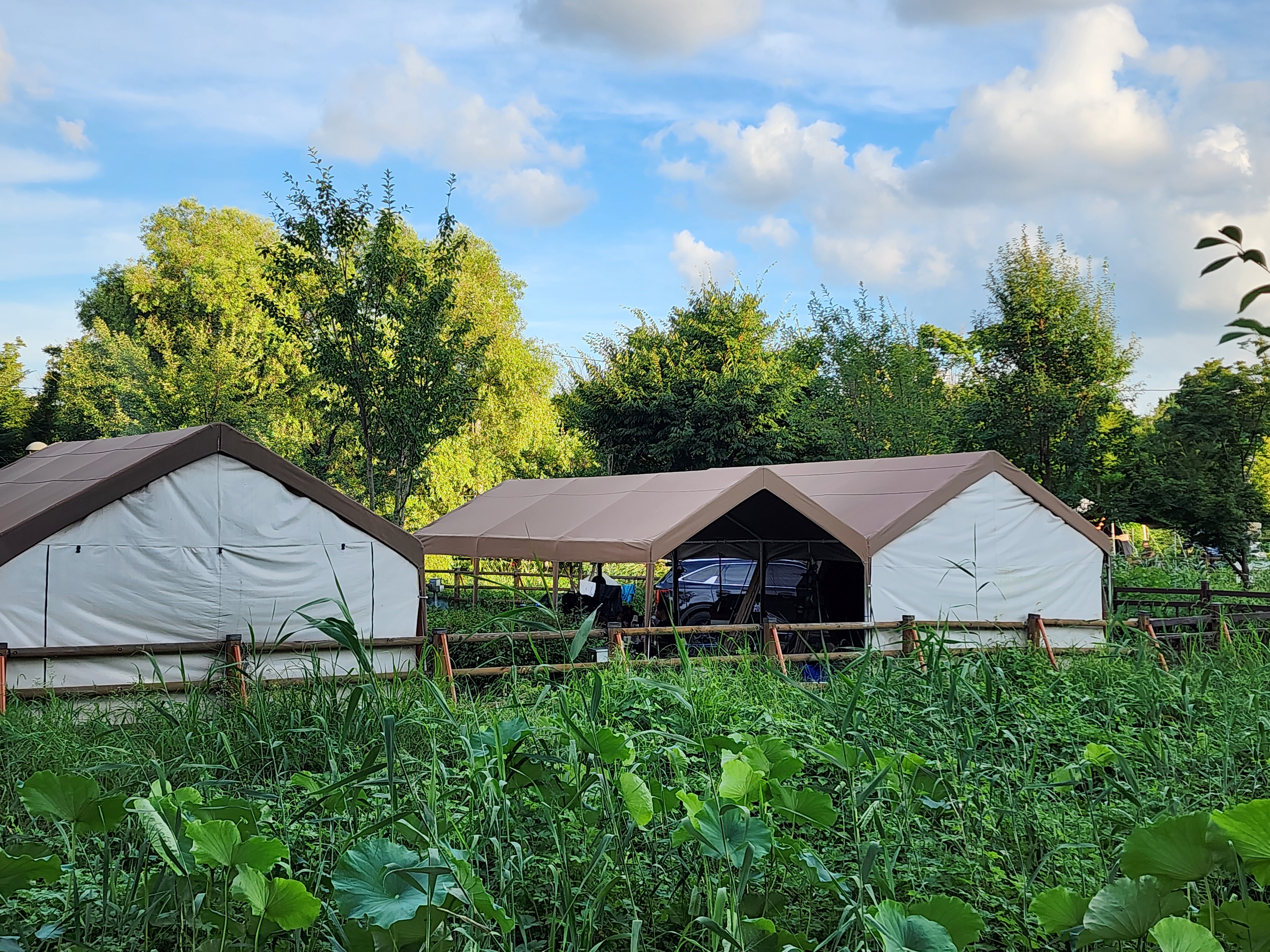 구리 토평 가족캠핑장 33번째 이미지