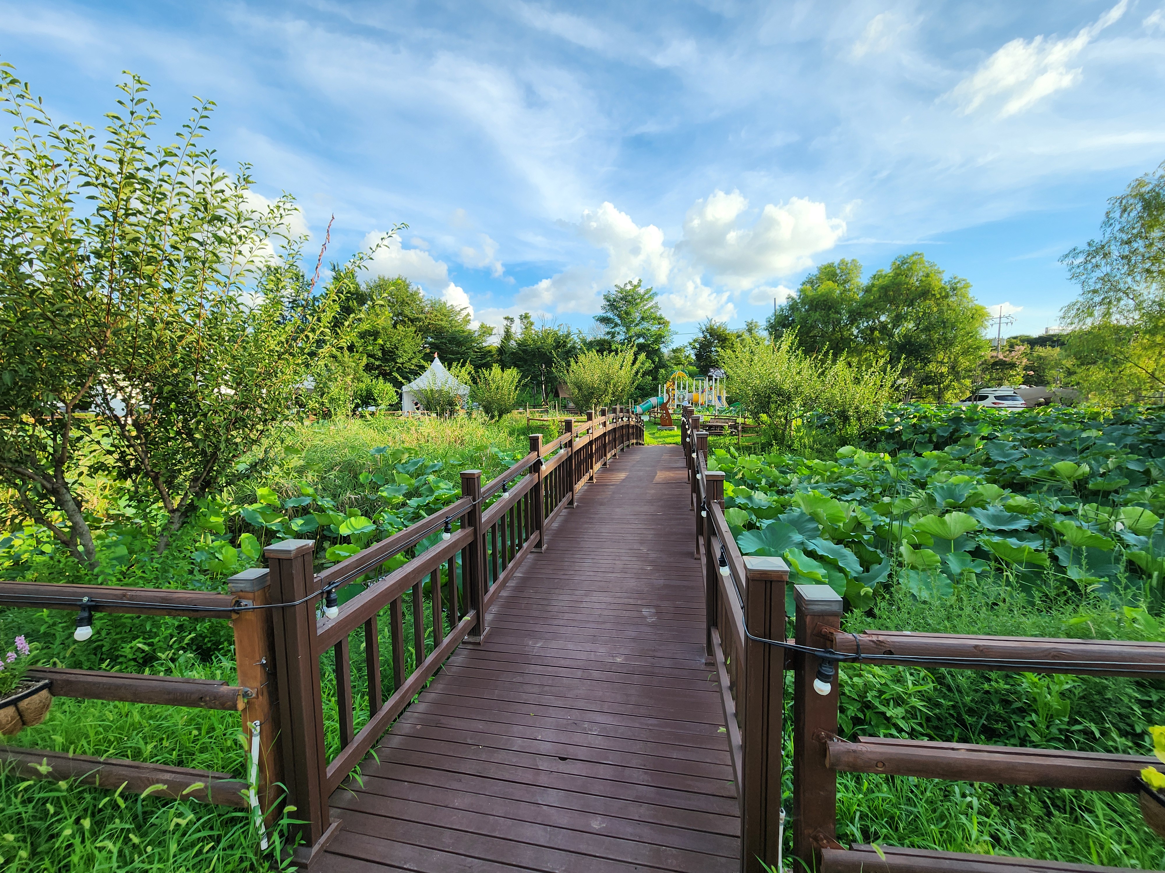 구리 토평 가족캠핑장 4번째 이미지