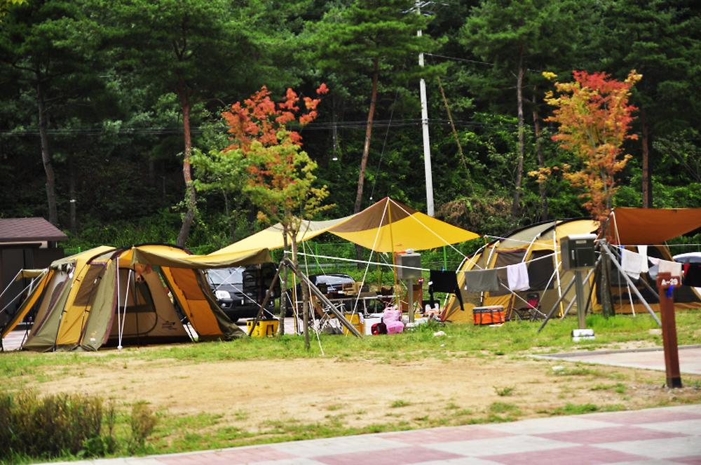 횡성군 병지방 오토캠핑장