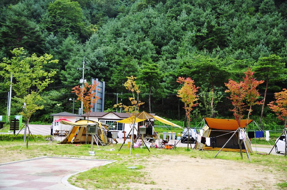 횡성군 병지방 오토캠핑장