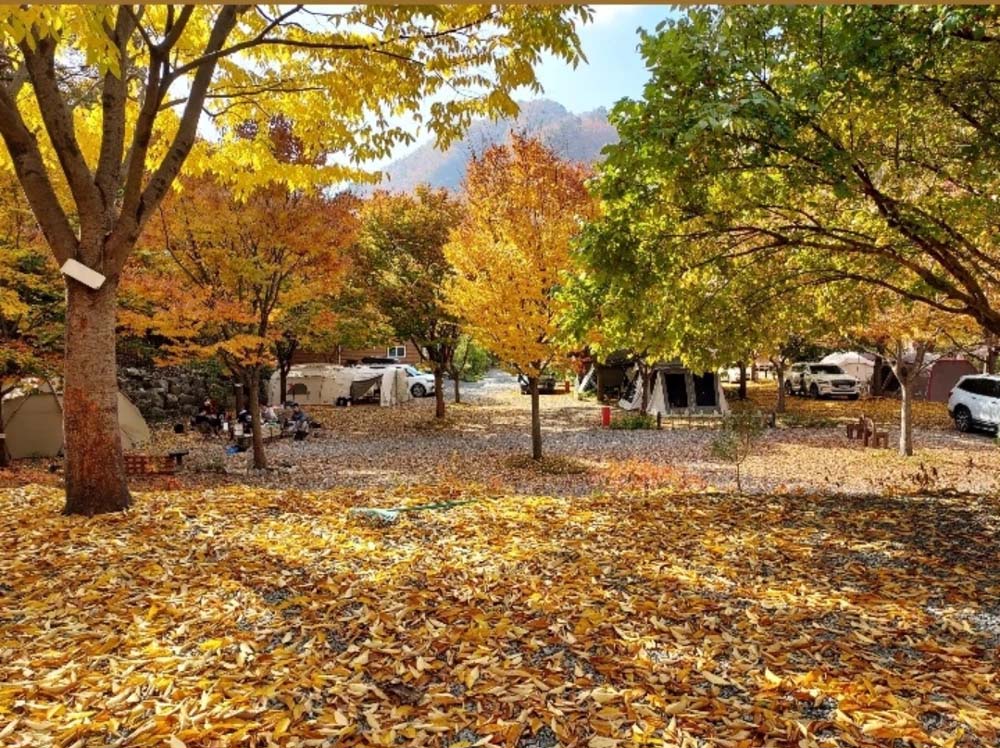 횡성산울림오토캠핑장 이미지