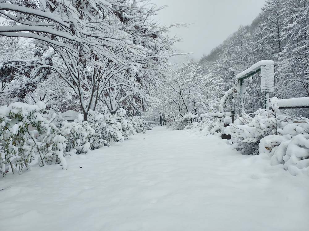 횡성산울림오토캠핑장 이미지