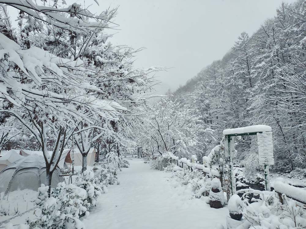 횡성산울림오토캠핑장 이미지