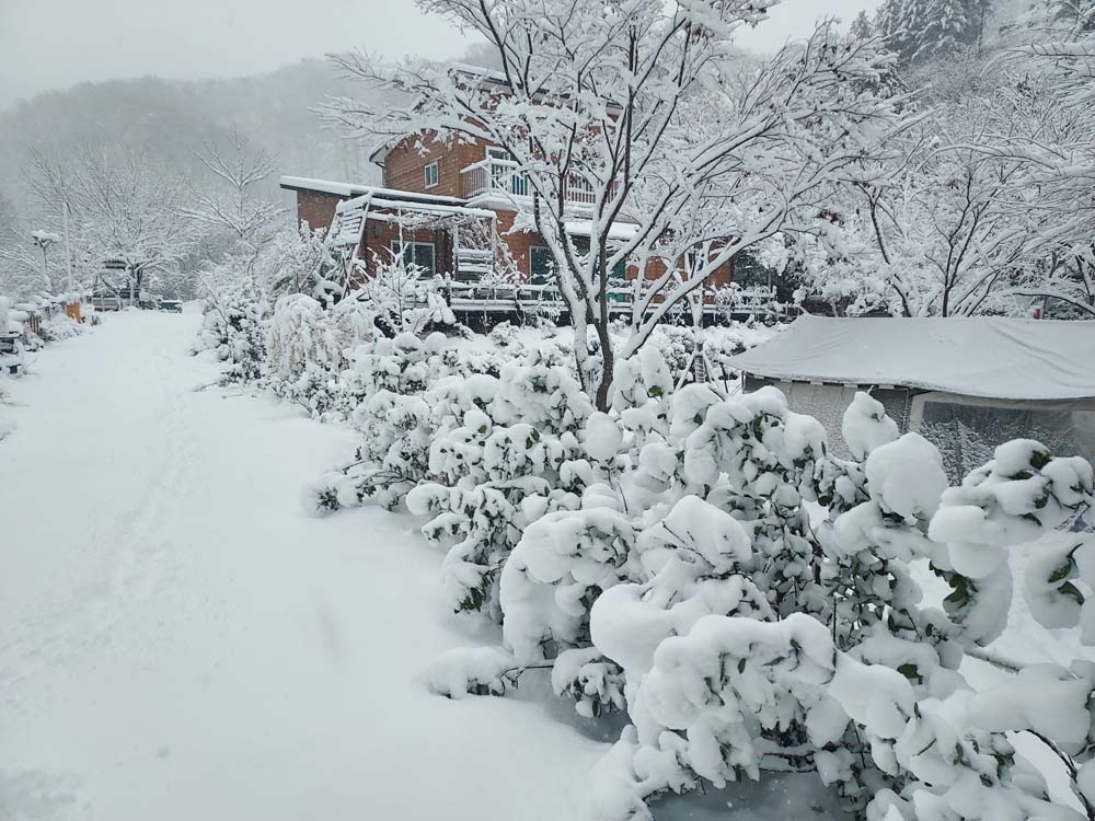횡성산울림오토캠핑장 이미지